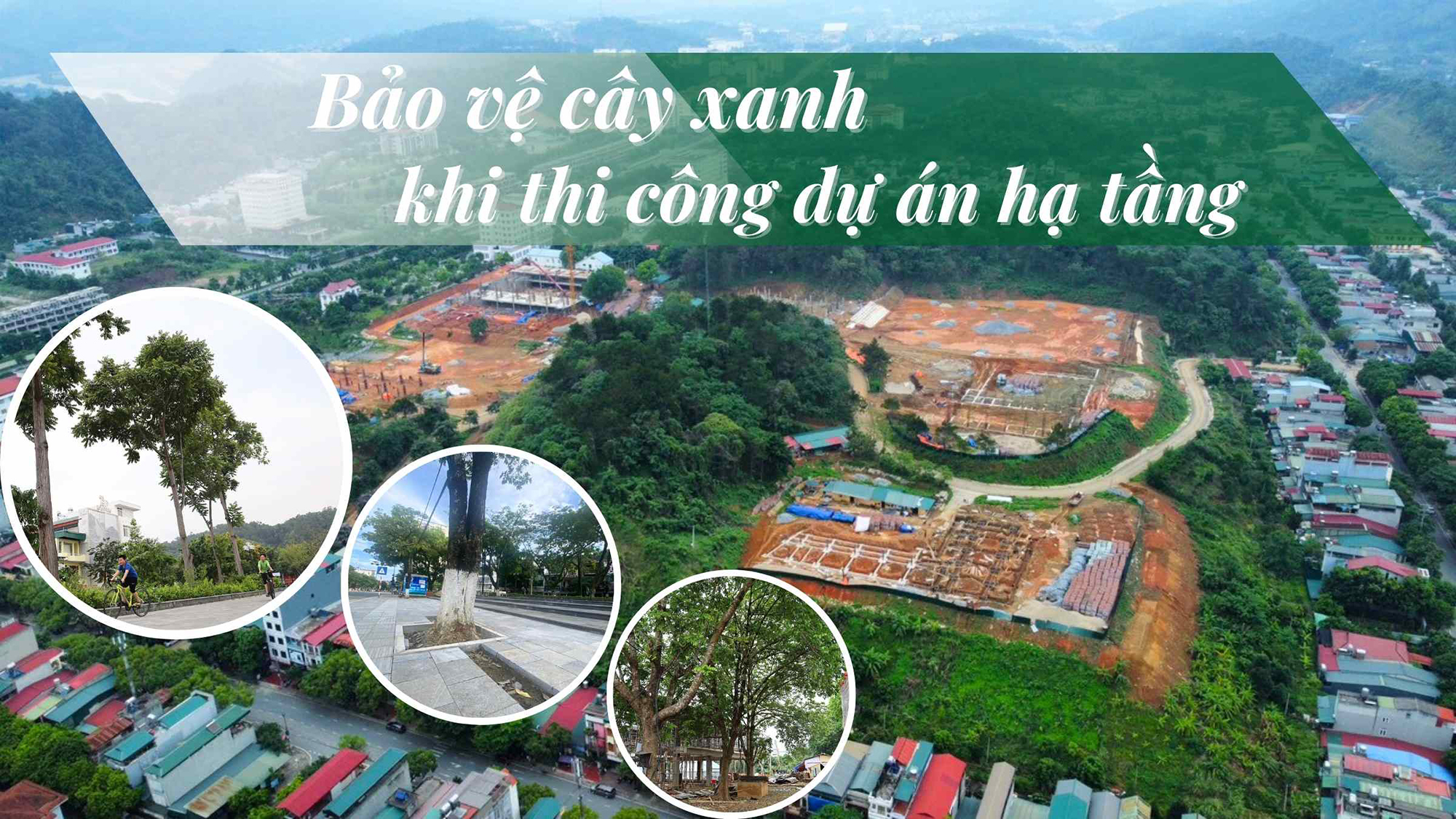 Bảo vệ cây xanh khi thi công dự án hạ tầng