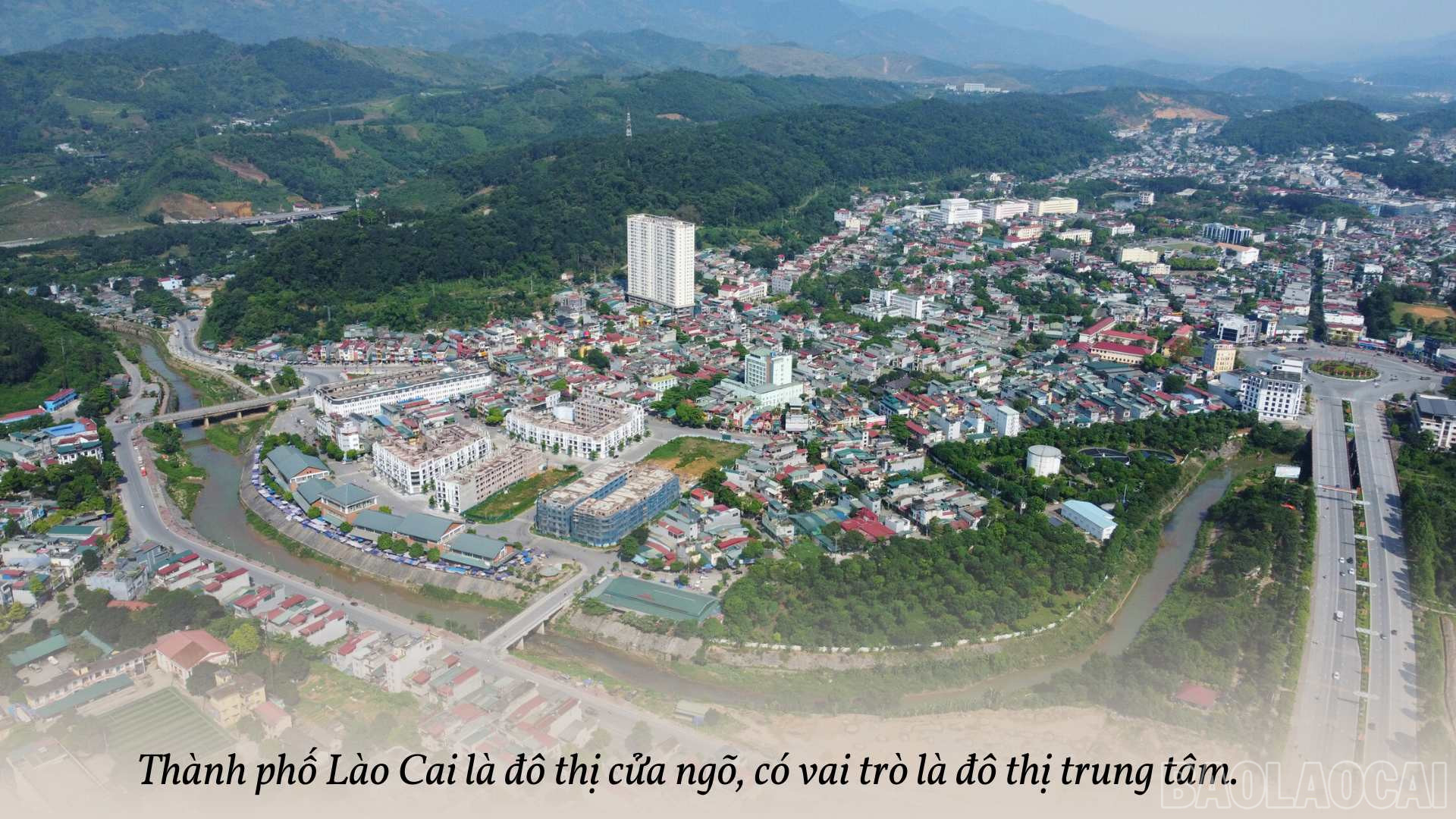 baolaocai_kt (7).jpg