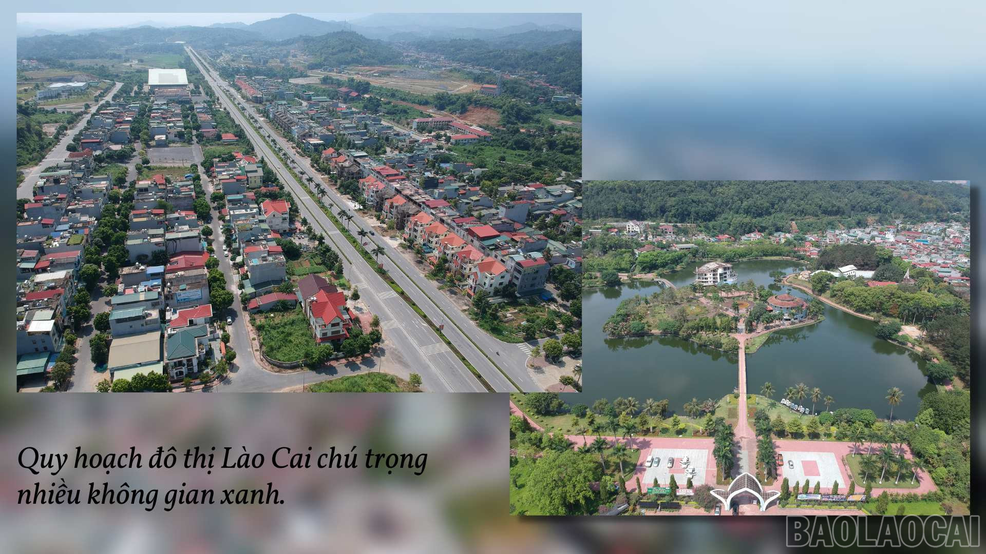 baolaocai_kt (3).jpg