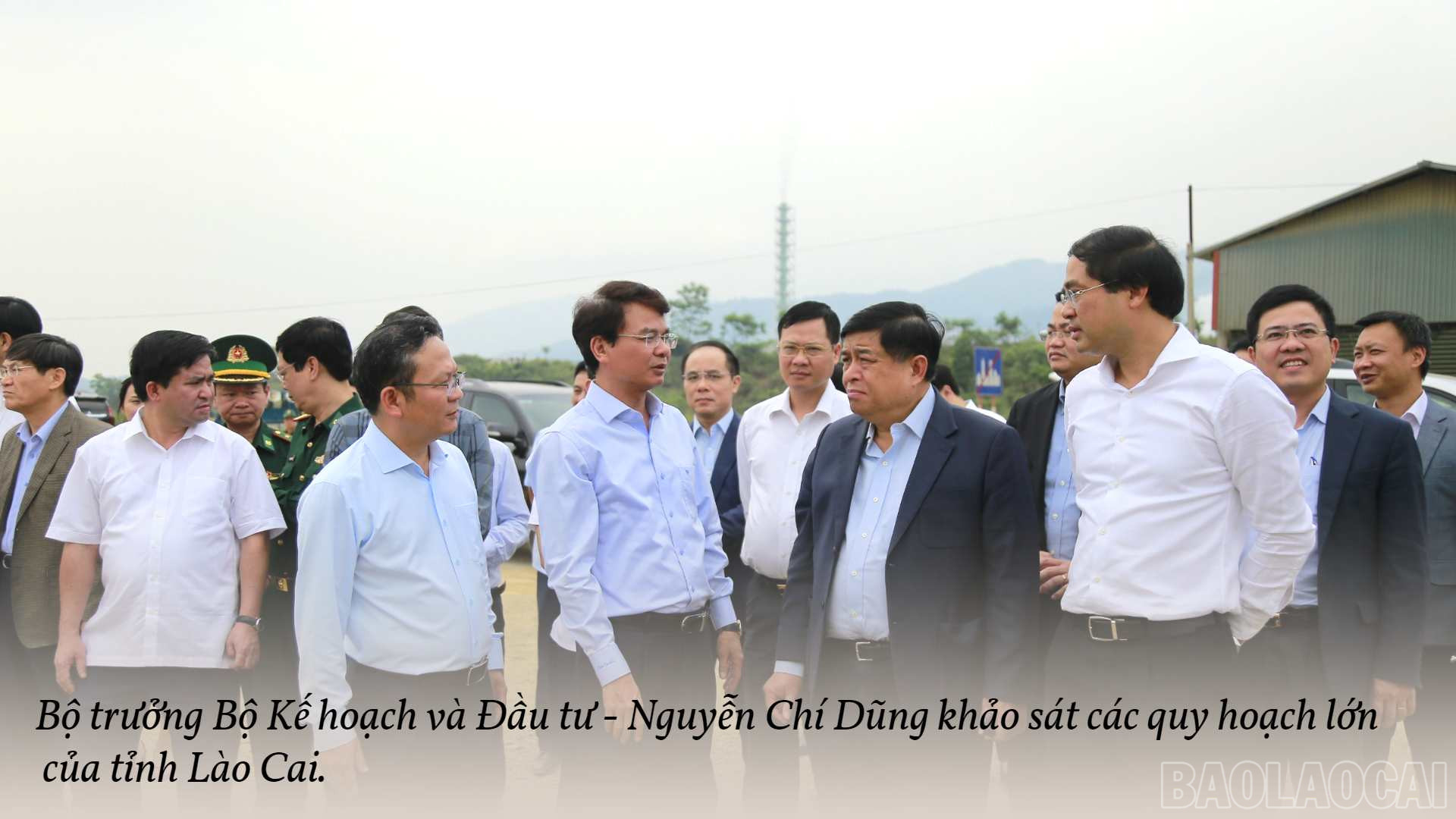 baolaocai_ncd.jpg