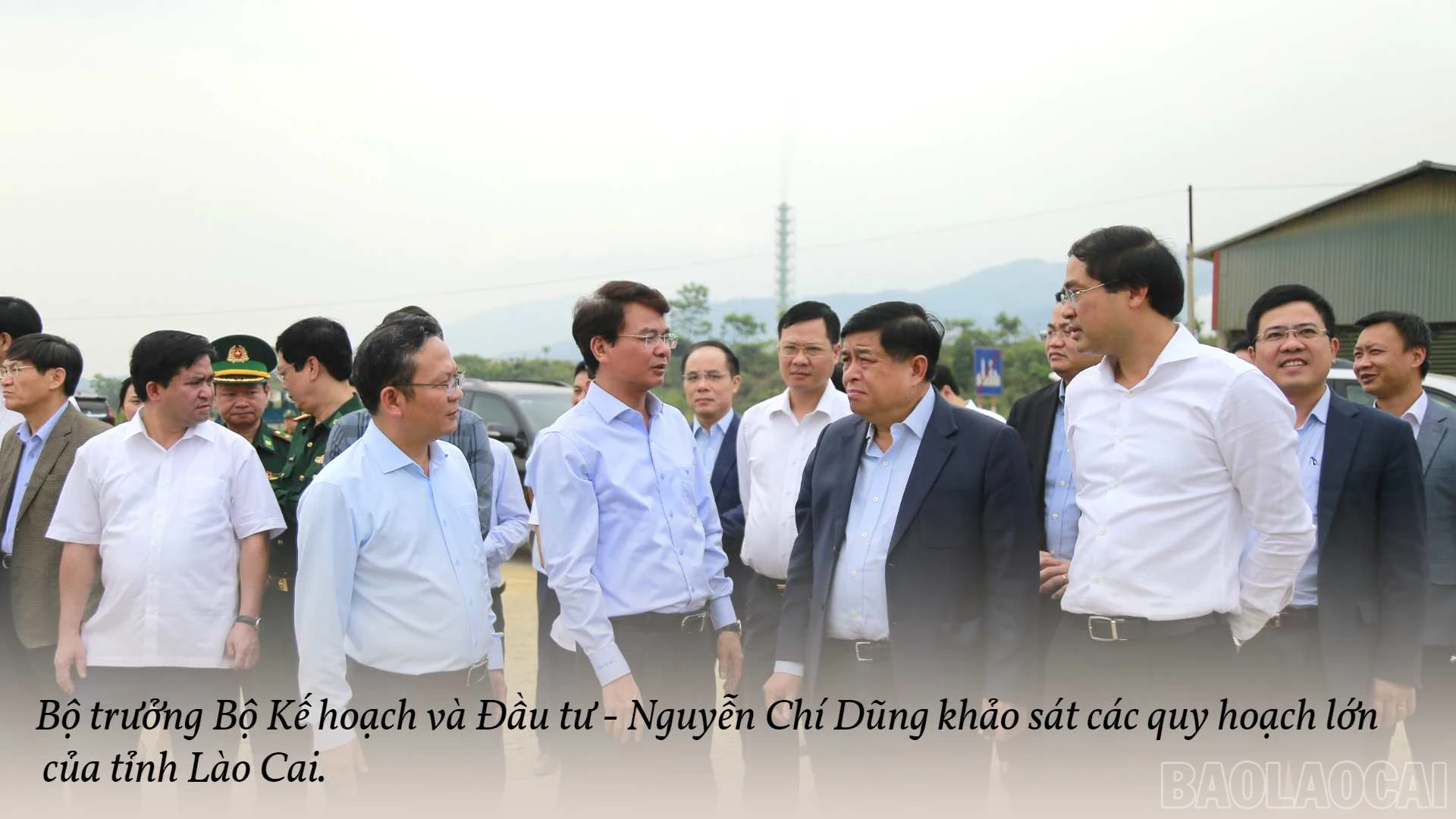 baolaocai_ncd.jpg