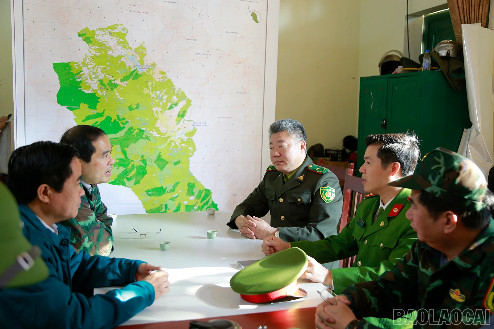 baolaocai_21 (1).JPG