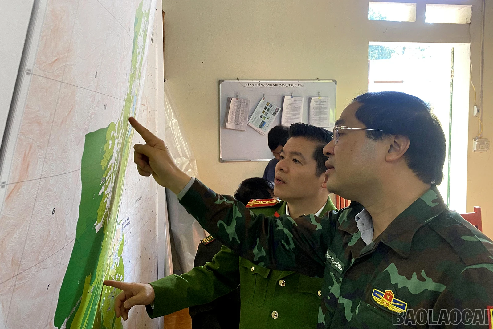 baolaocai_21 (2).JPG