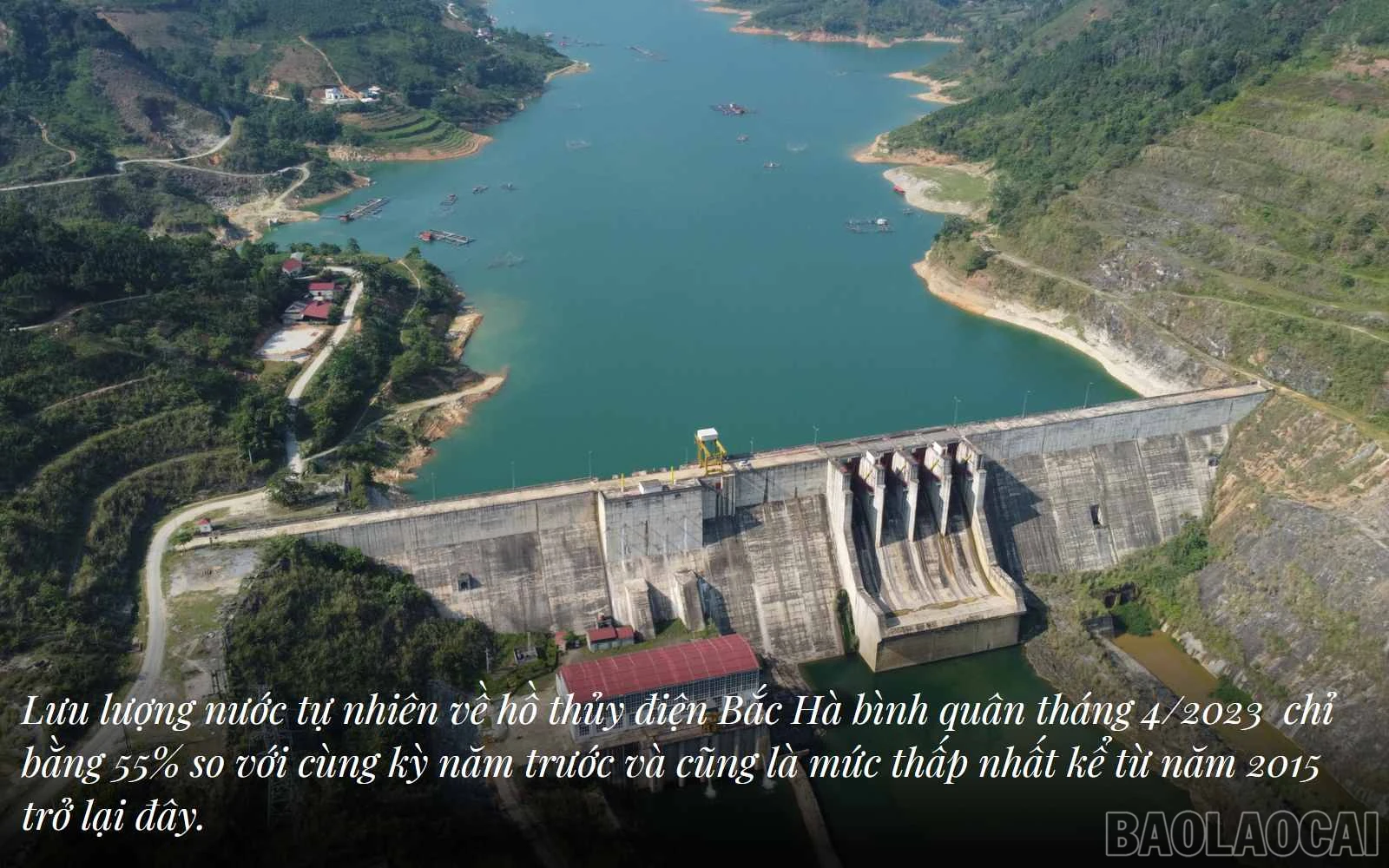 baolaocai_tdk (2).jpg