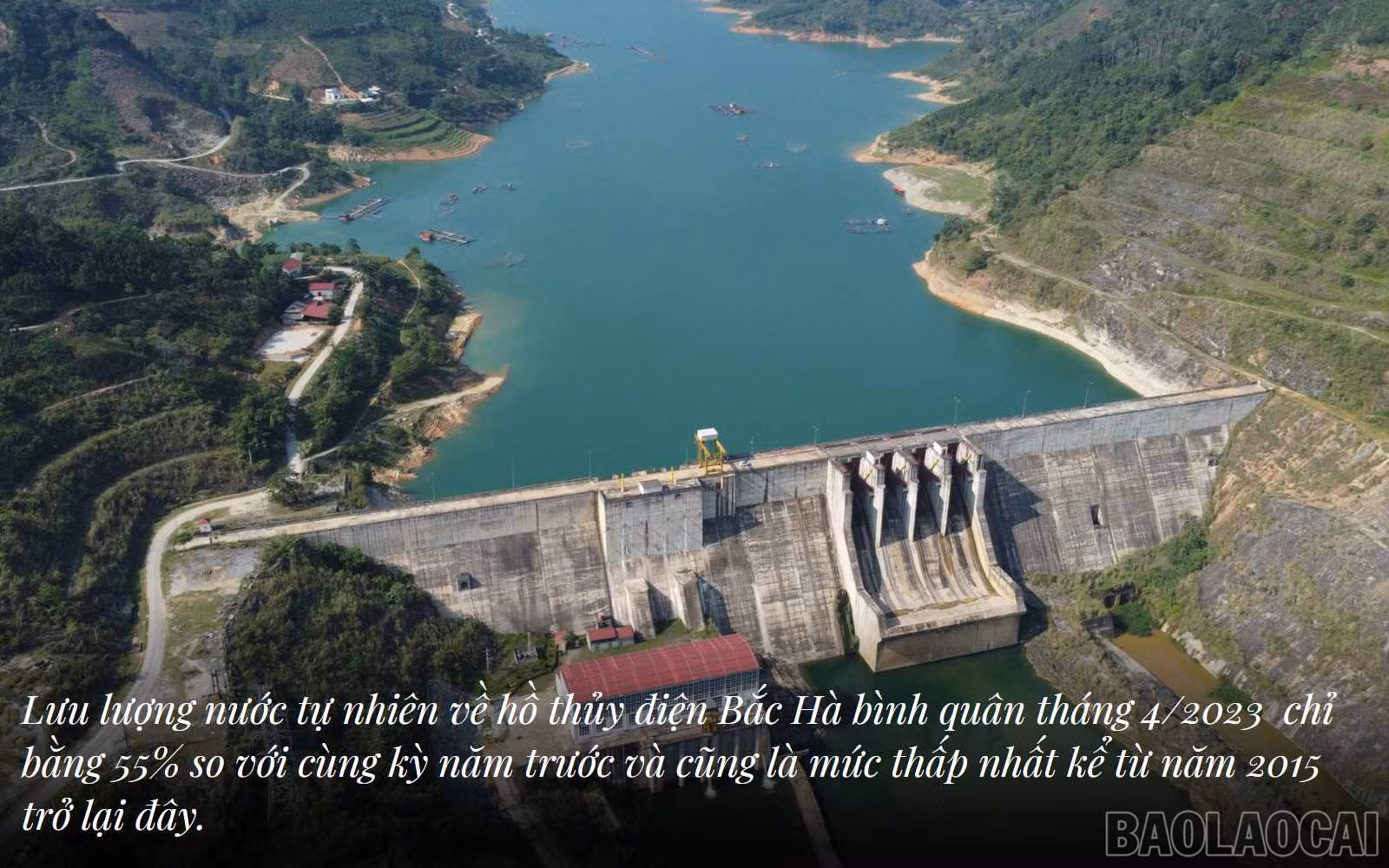 baolaocai_tdk (2).jpg