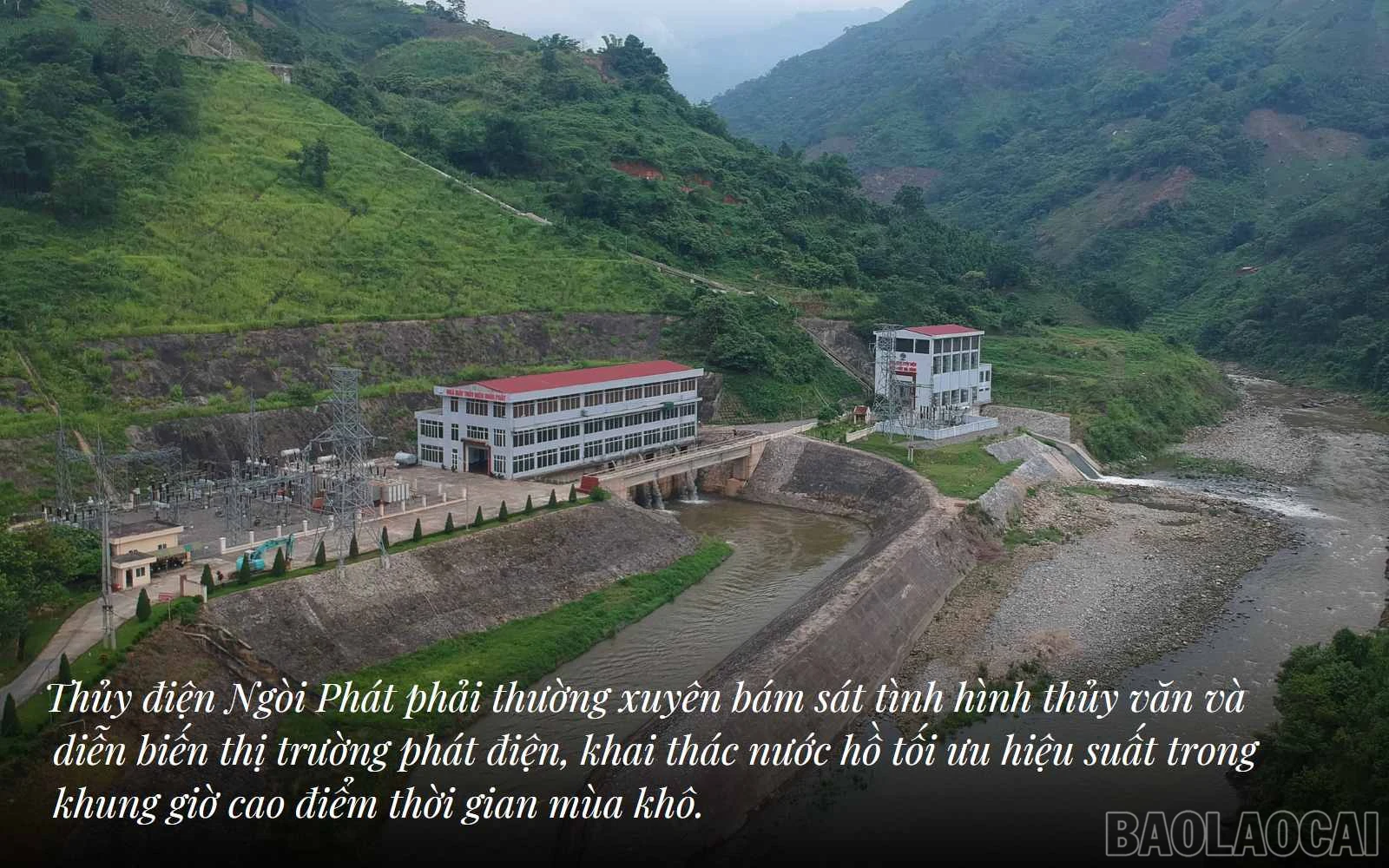 baolaocai_tdk (4).jpg