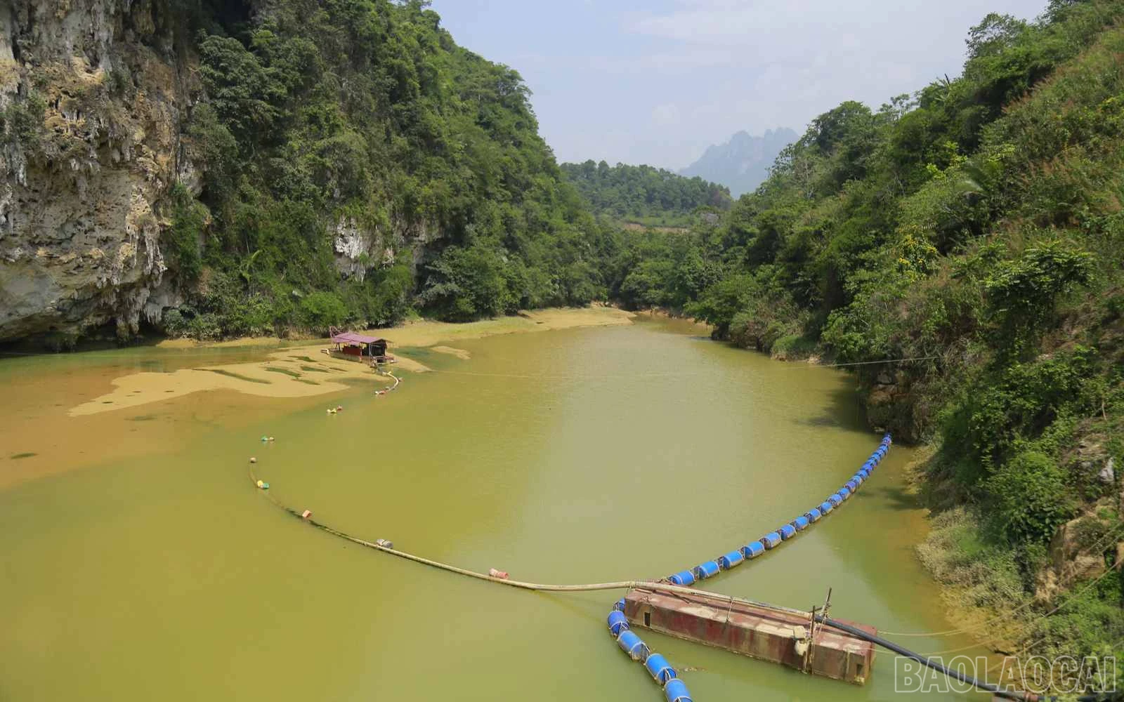 baolaocai_tdk (6).jpg