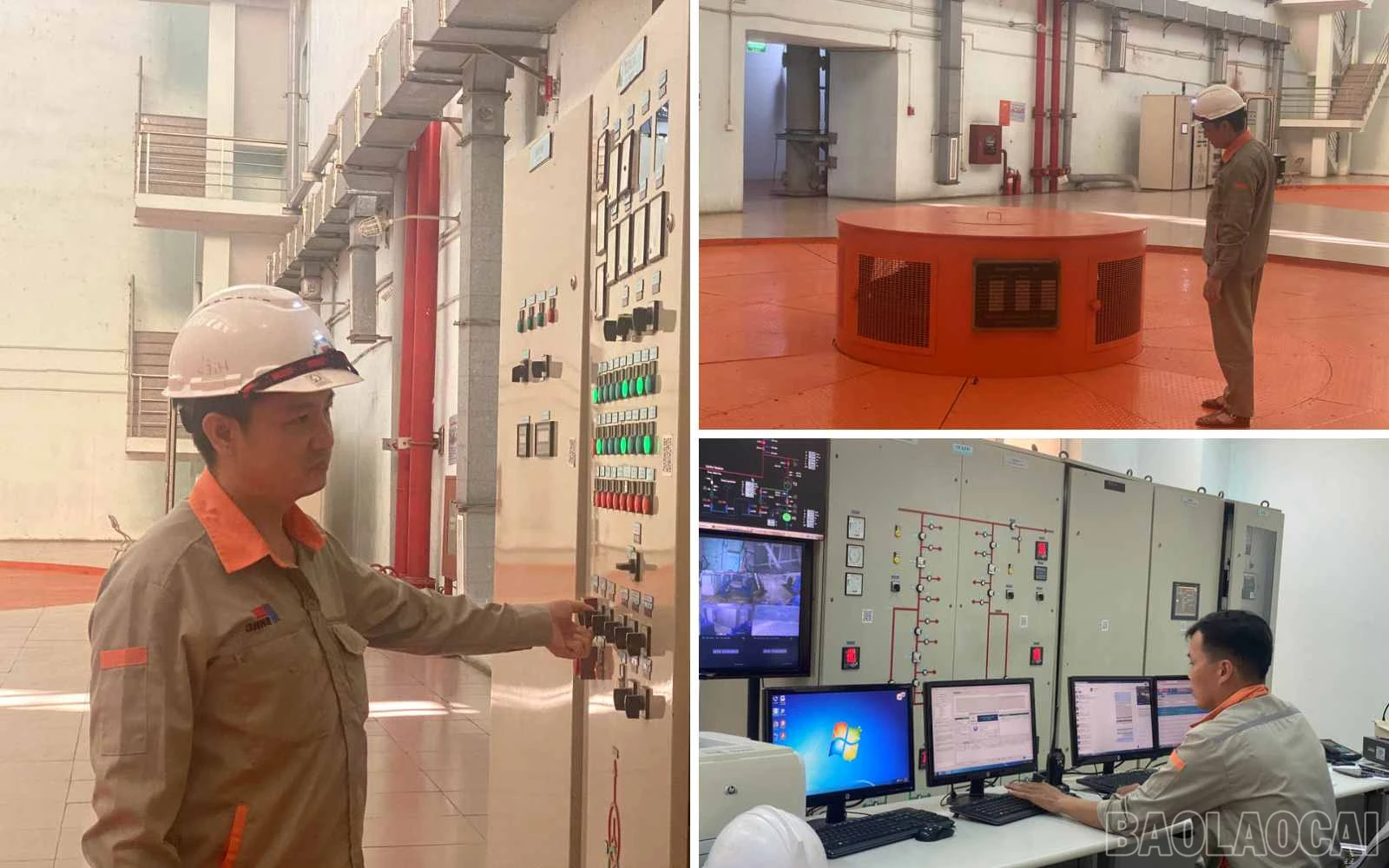 baolaocai_tdk (3).jpg