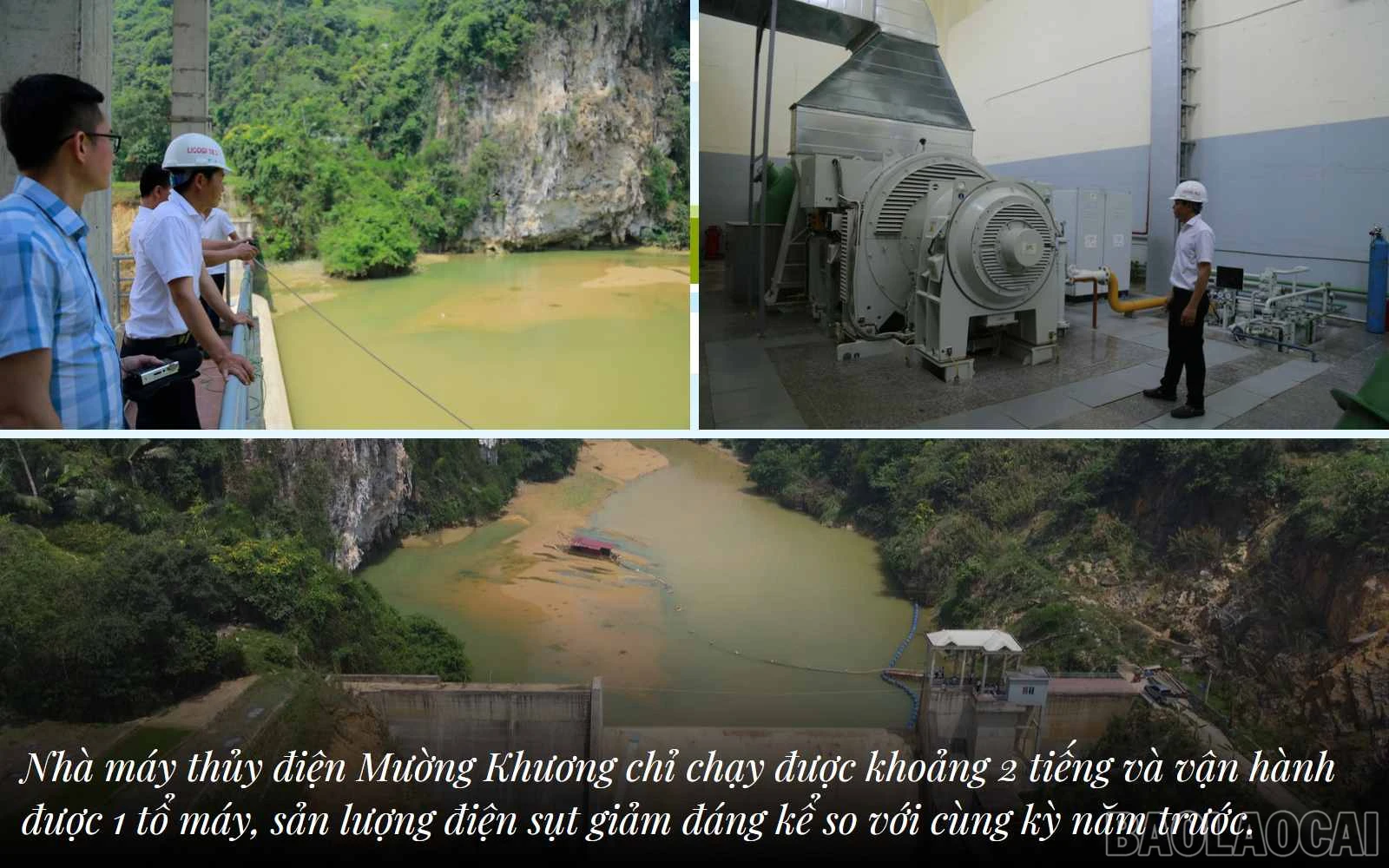 baolaocai_tdk (5).jpg