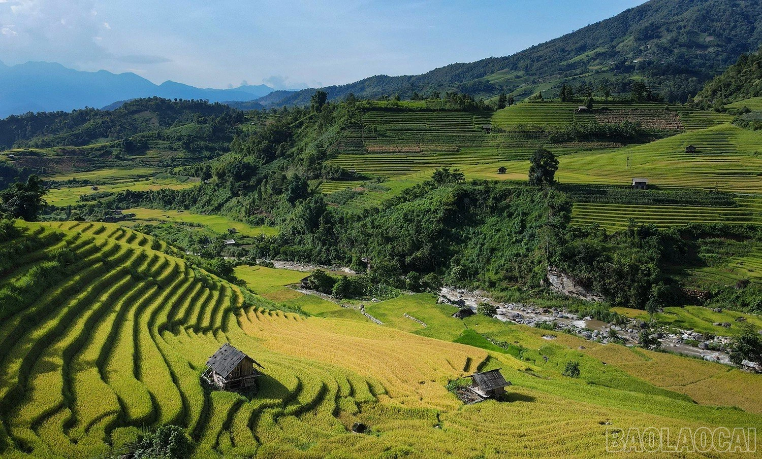 baolaocai_namcang (7).jpg