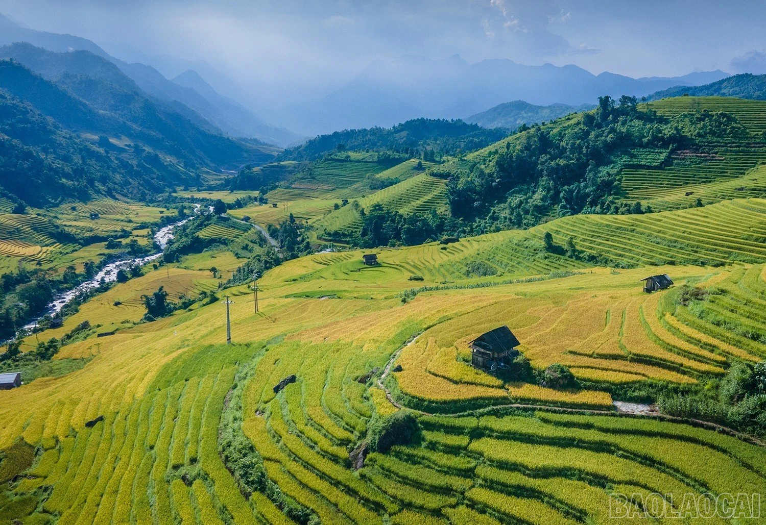 baolaocai_namcang (5).jpg