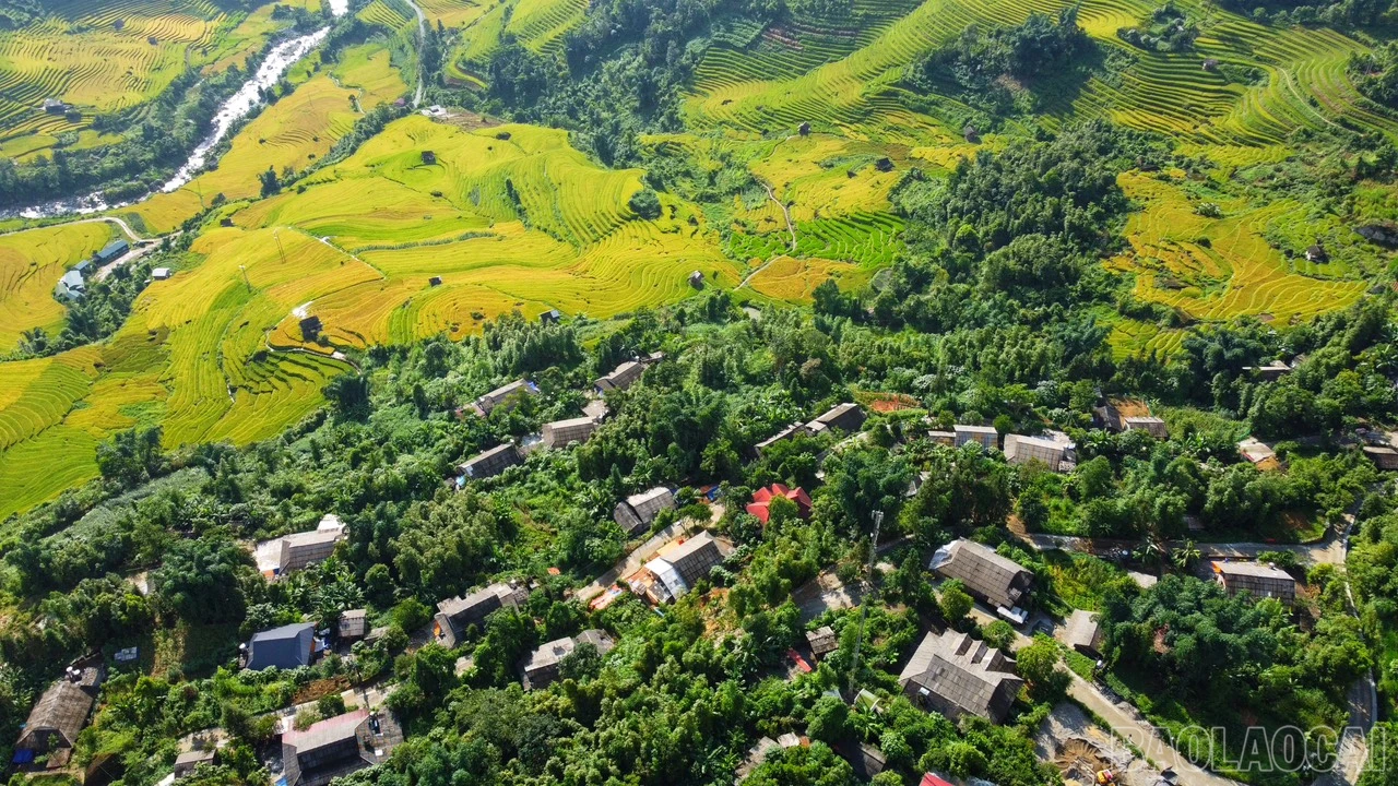 baolaocai_namcang (11).jpg