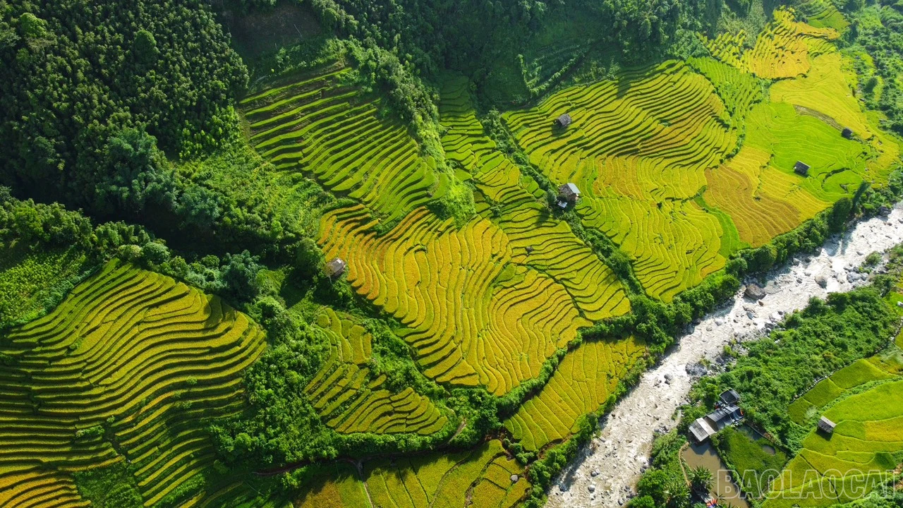 baolaocai_namcang (10).jpg