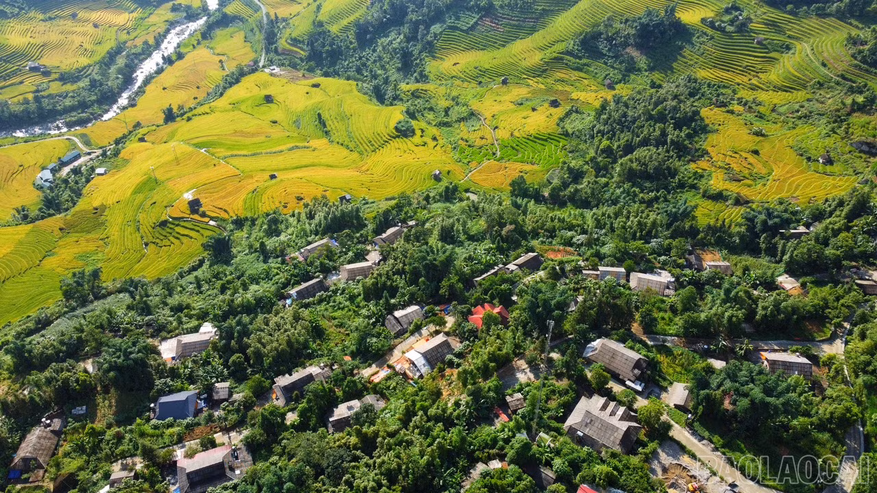 baolaocai_namcang (11).jpg