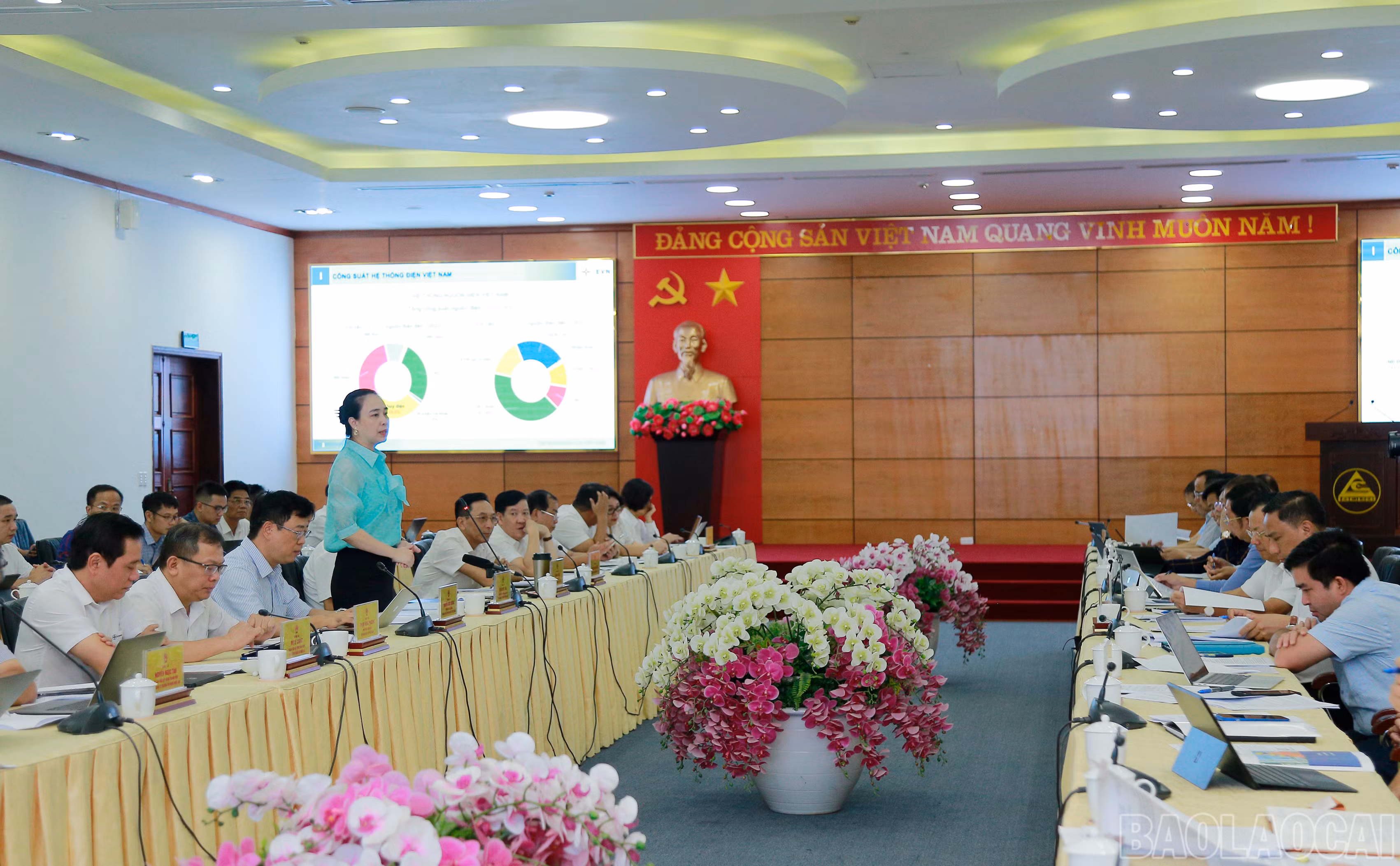 baolaocai_dienluc (9).JPG