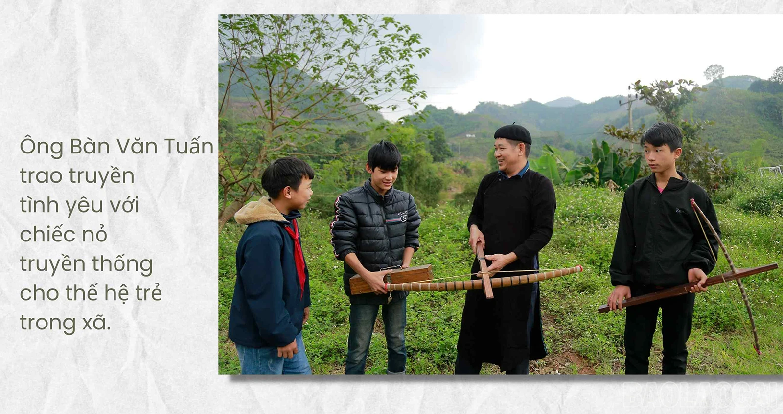 baolaocai_lc (3).jpg