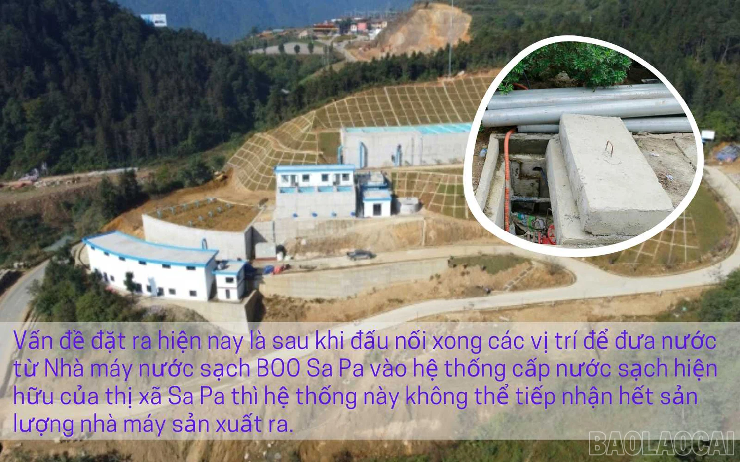 baolaocai_ncsap (3).jpg