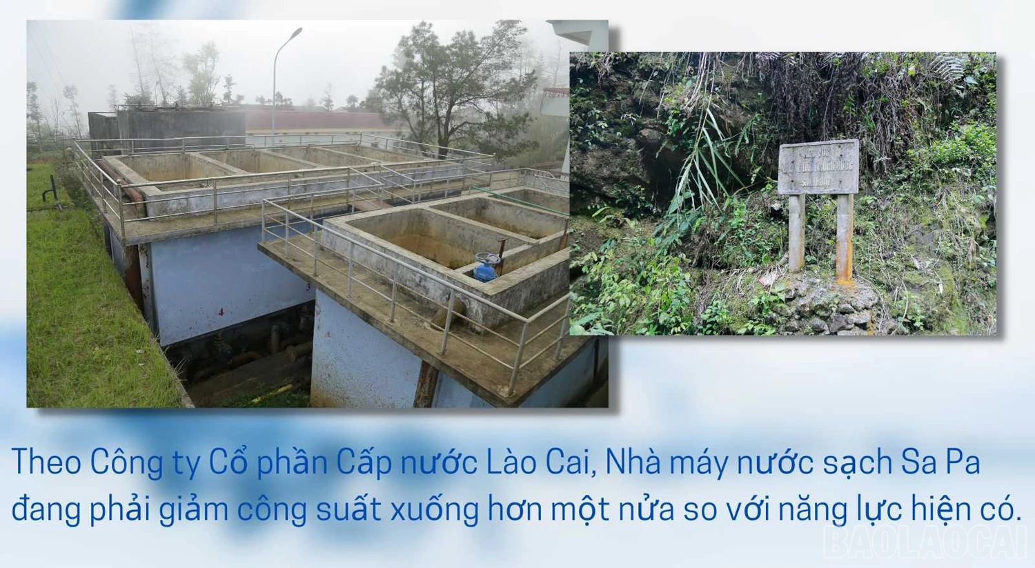 baolaocai_ncsap (4).jpg