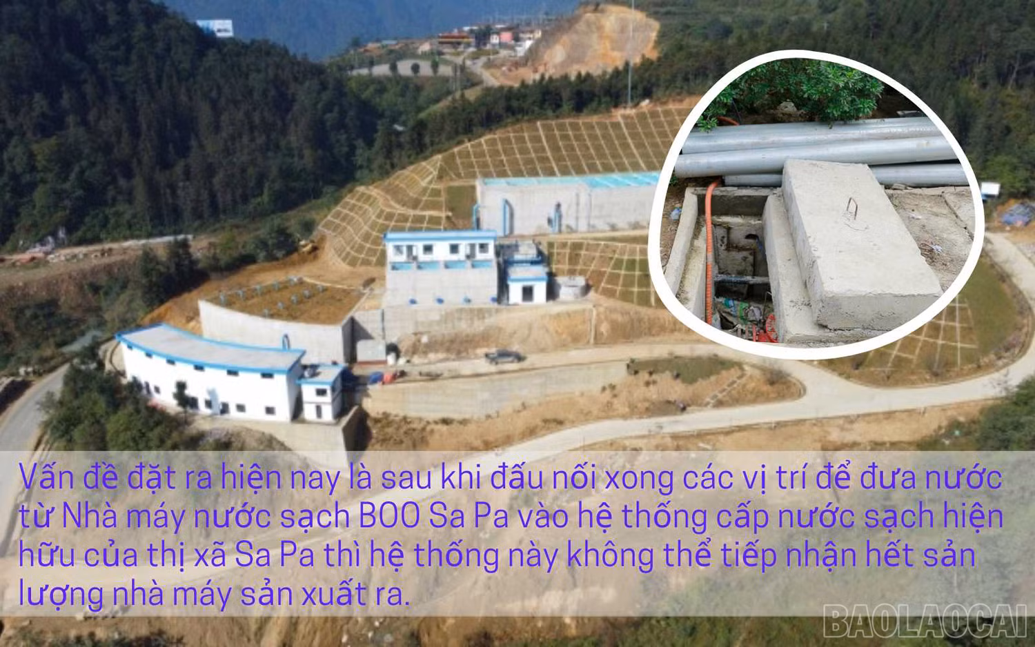 baolaocai_ncsap (3).jpg