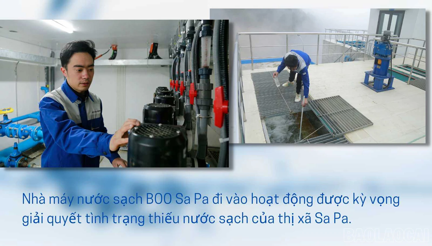 baolaocai_ncsap (2).jpg