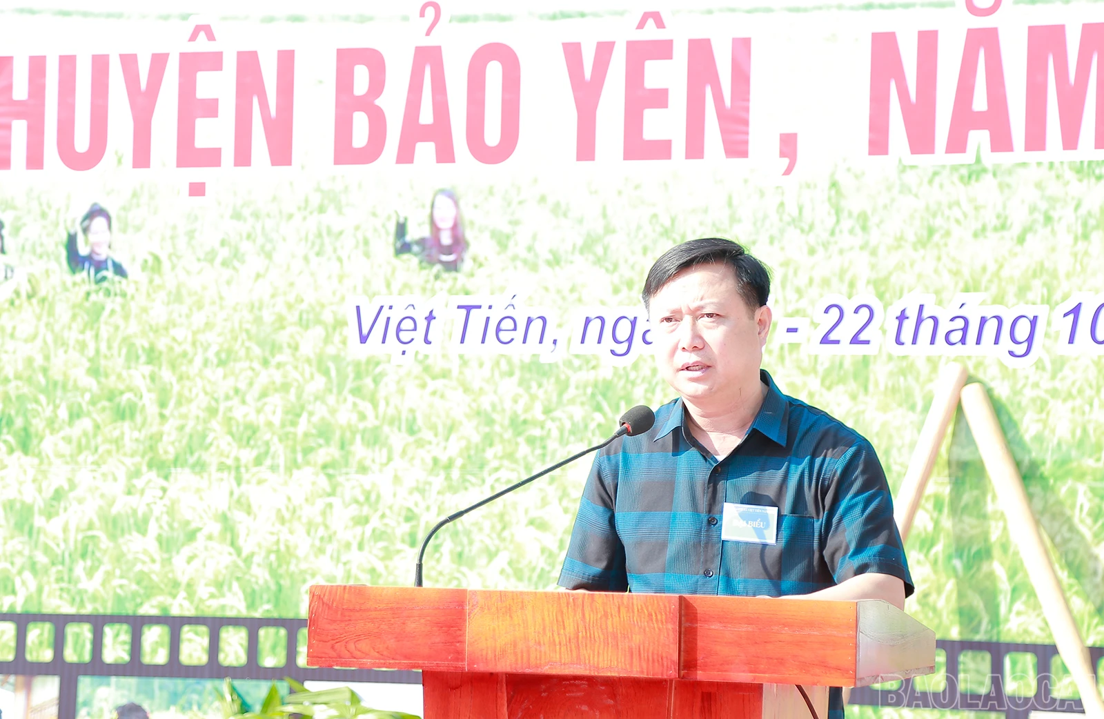 baolaocai_com (2).JPG