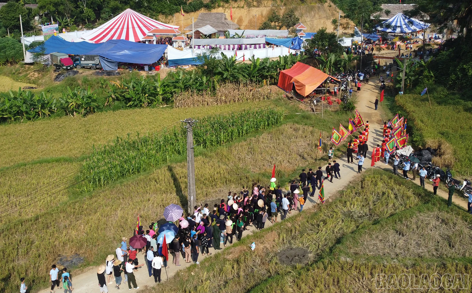 baolaocai_com (15).JPG