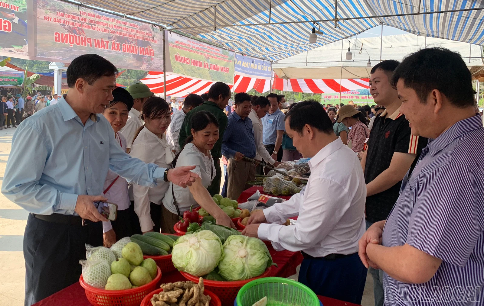 baolaocai_com (17).jpg