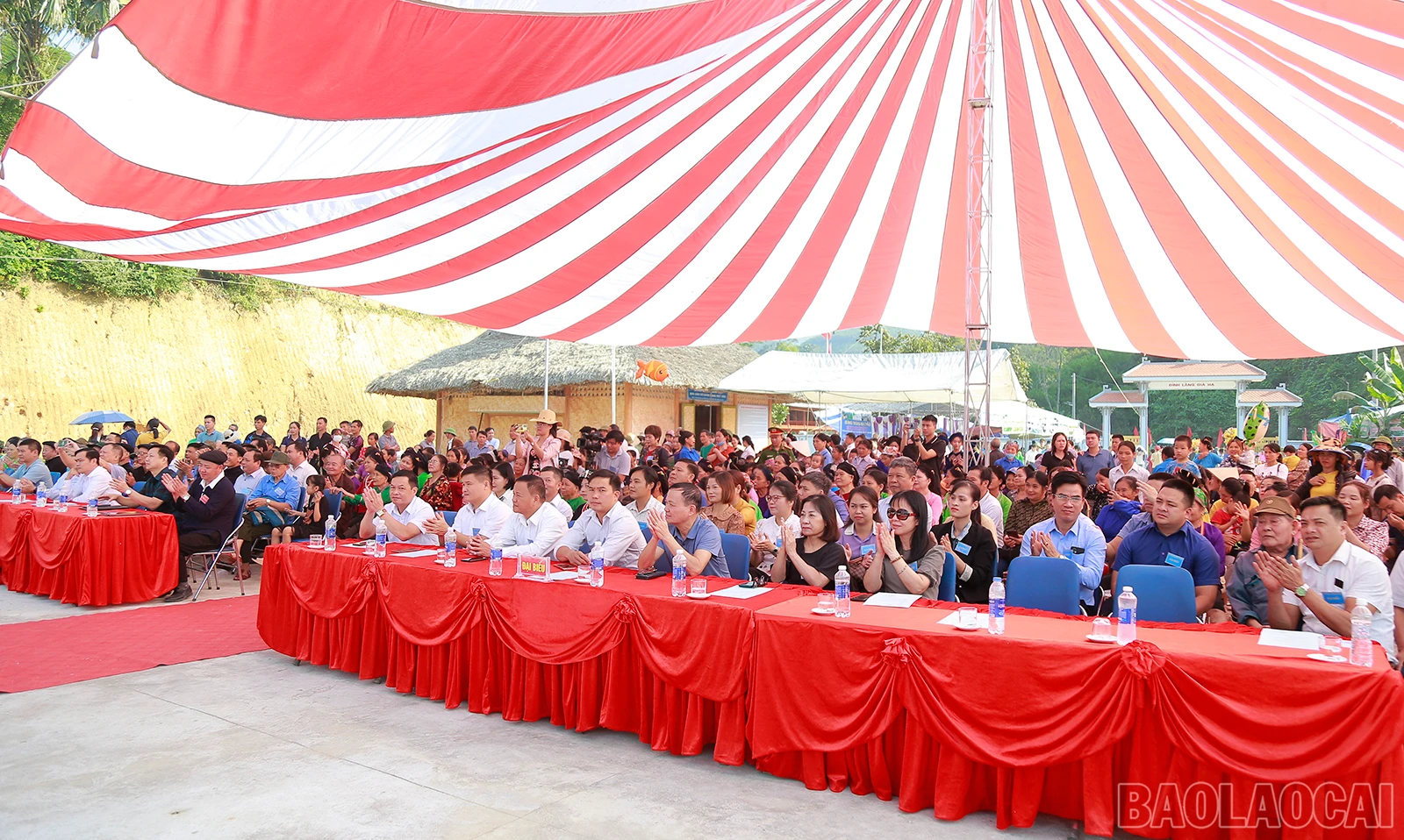 baolaocai_com (1).JPG