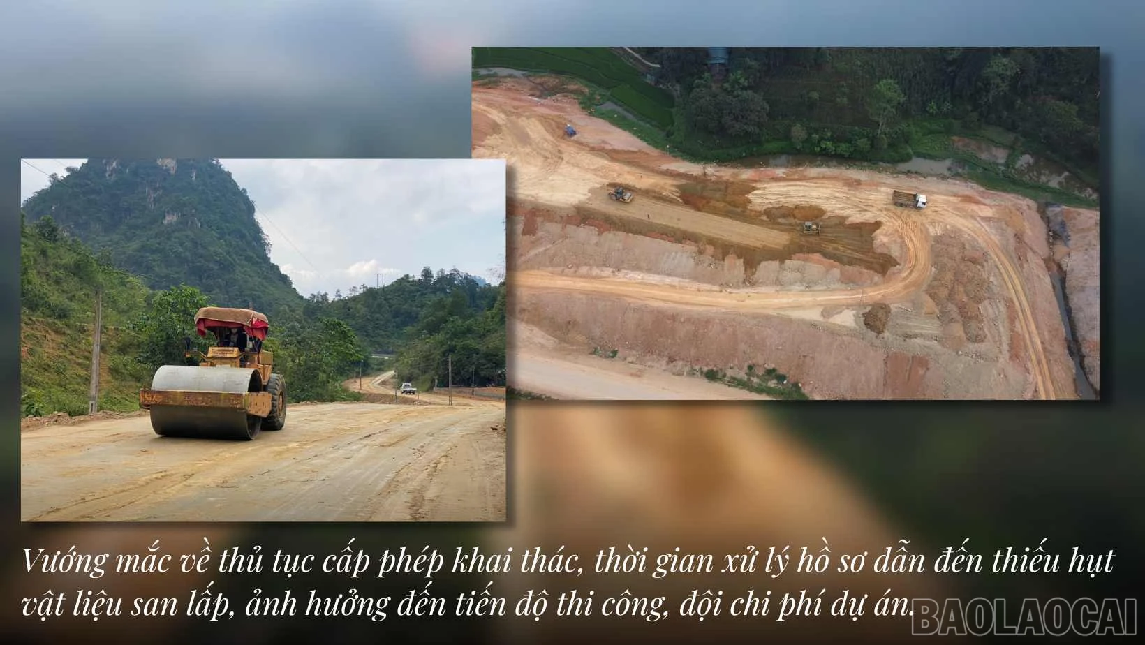 baolaocai_sl (3).jpg