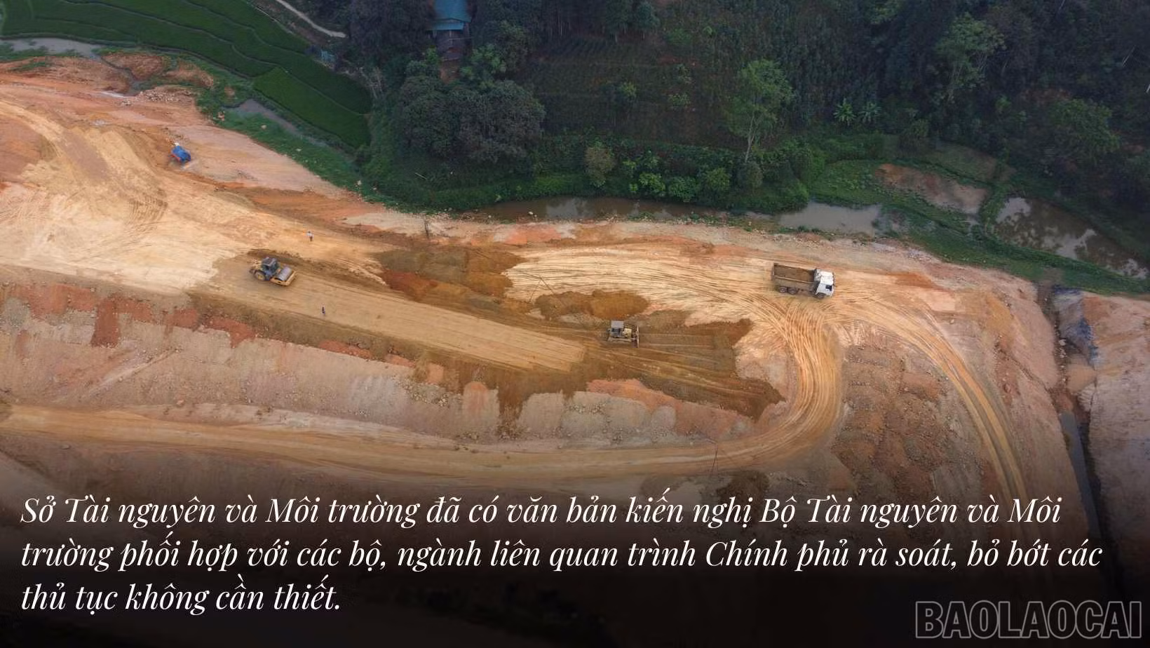 baolaocai_sl (4).jpg