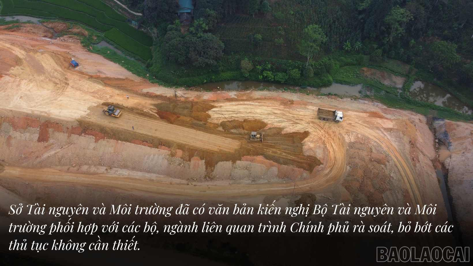 baolaocai_sl (4).jpg