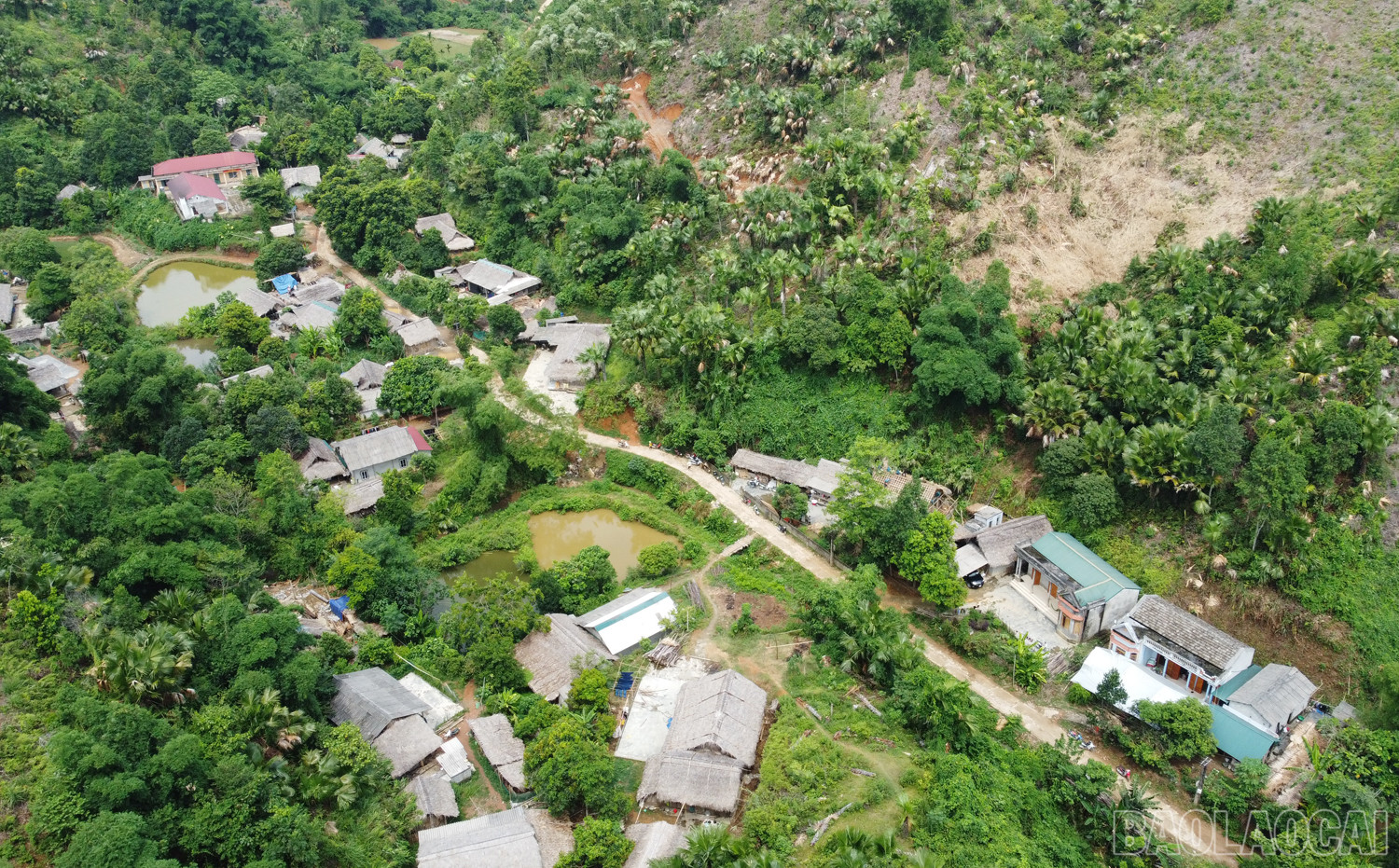 Thôn Cam 2, nơi có 100% hộ trong diện phải di chuyển. baolaocai_cam2.JPG