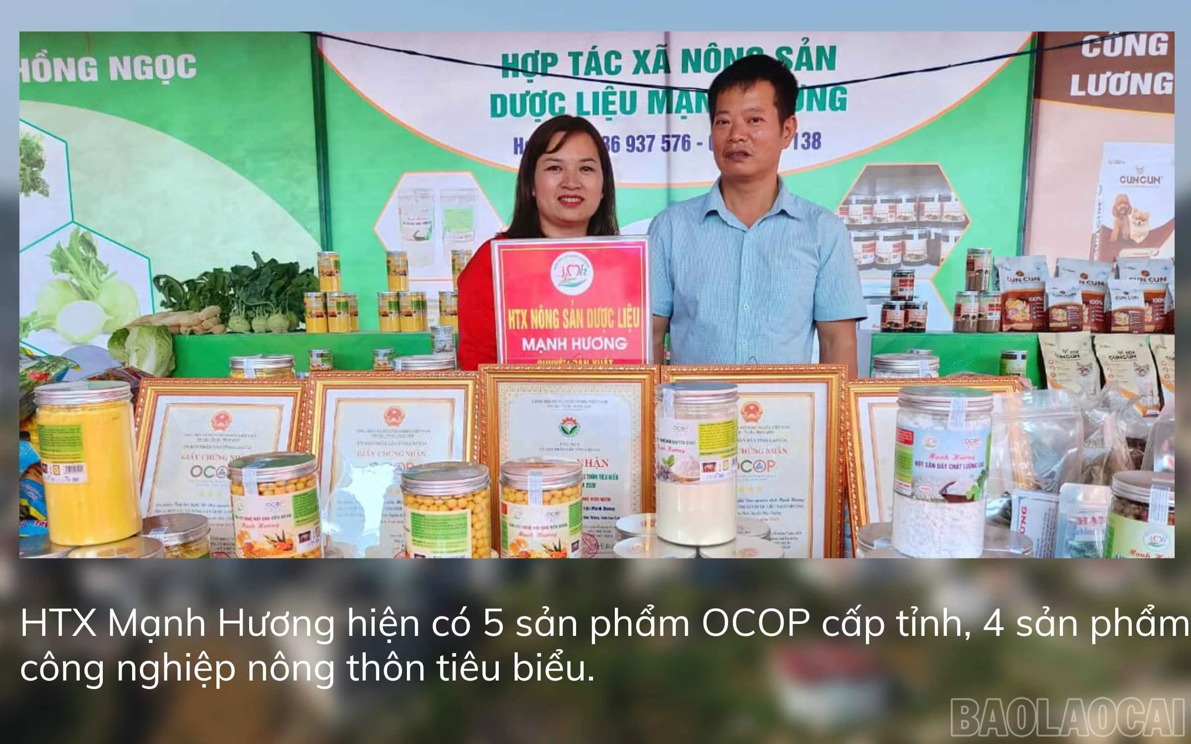 baolaocai_htx1 (4).jpg