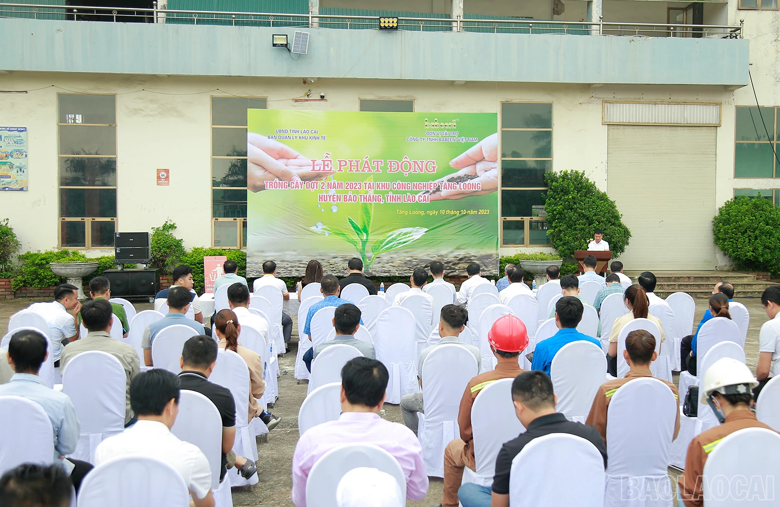 baolaocai_tc (1).JPG