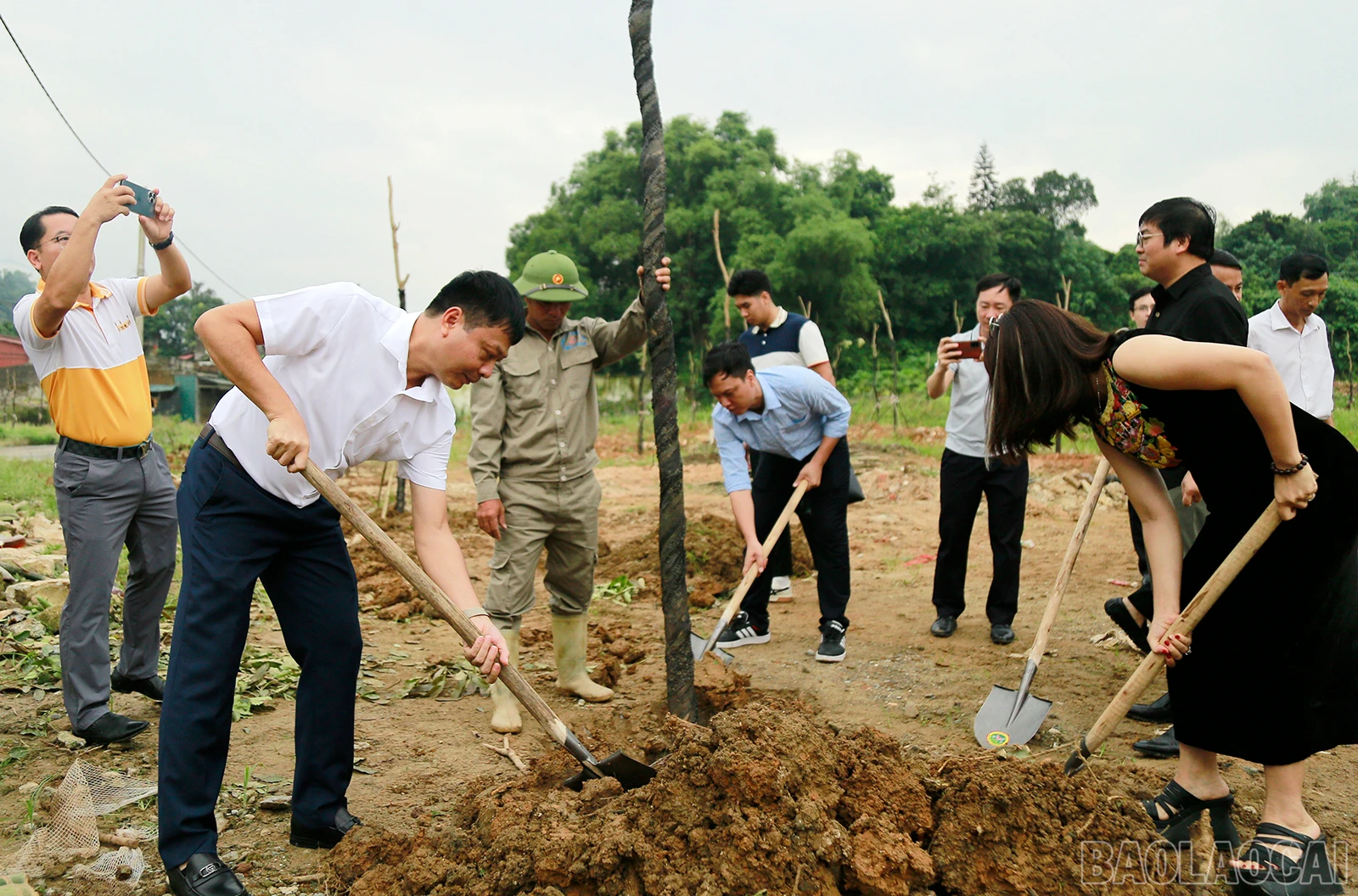 baolaocai_tc (2).JPG