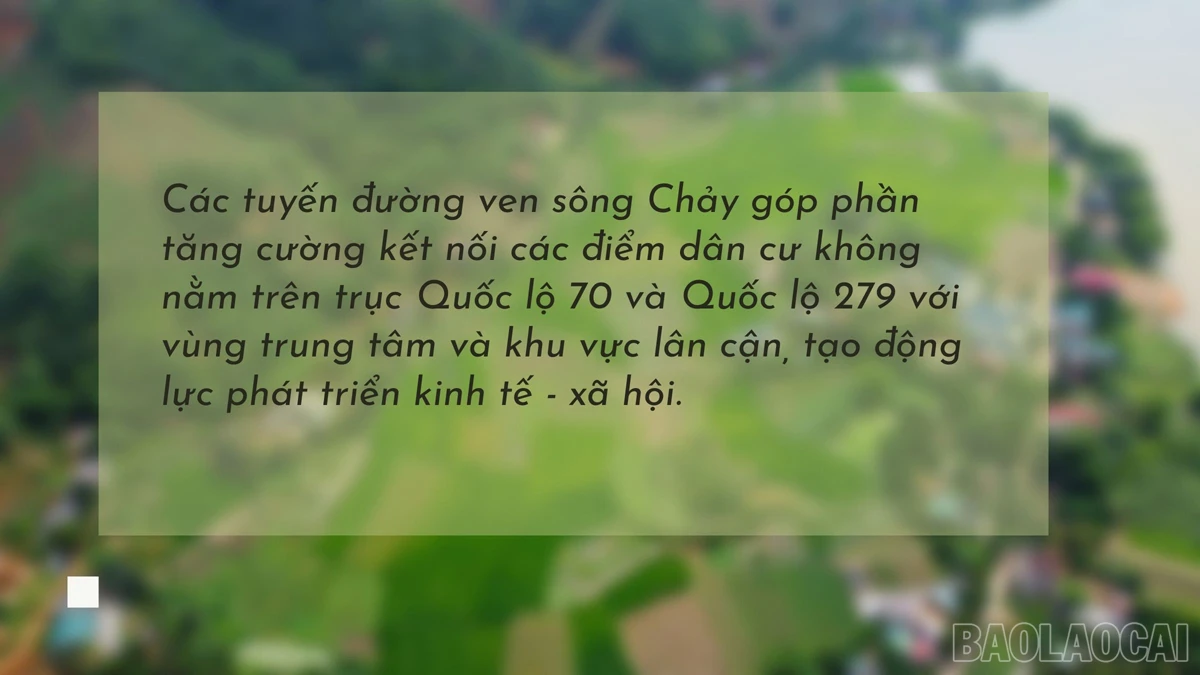 baolaocai_dvensong (3).jpg