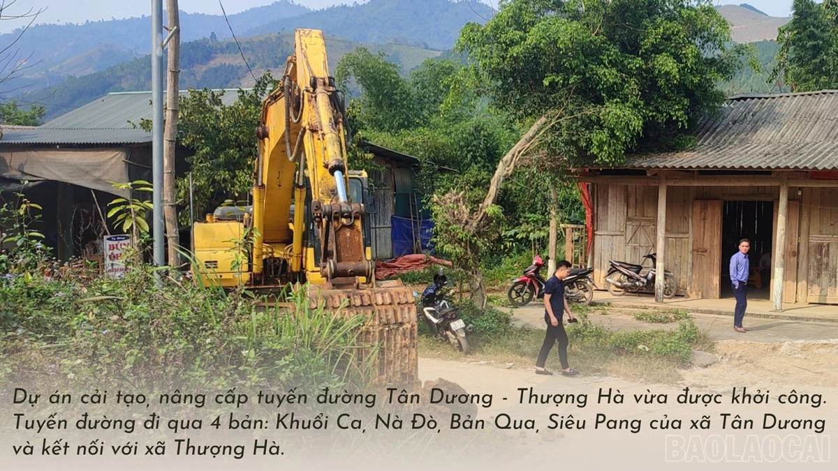 baolaocai_dvensong (2).jpg