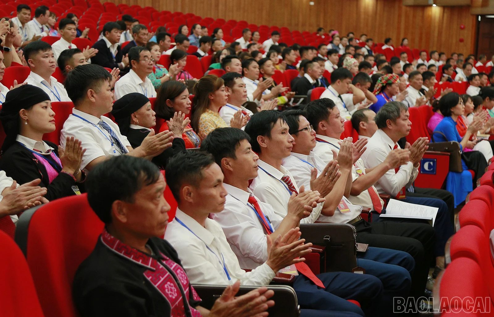 baolaocai_n1 (9).JPG