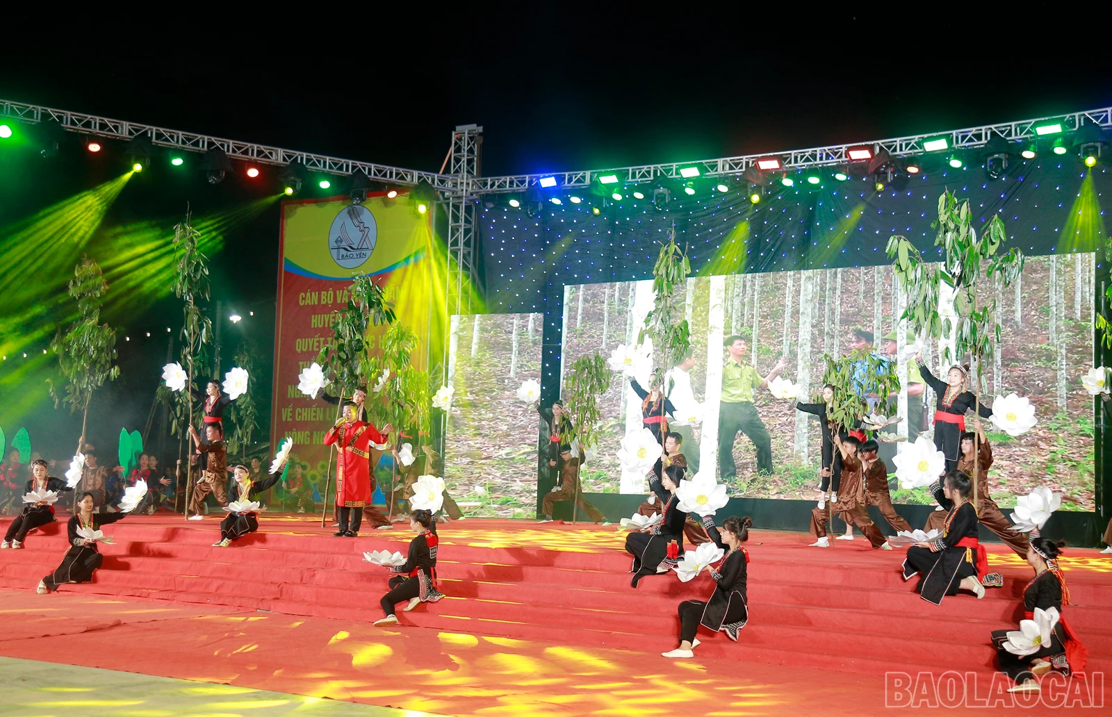 baolaocai_km (4).JPG