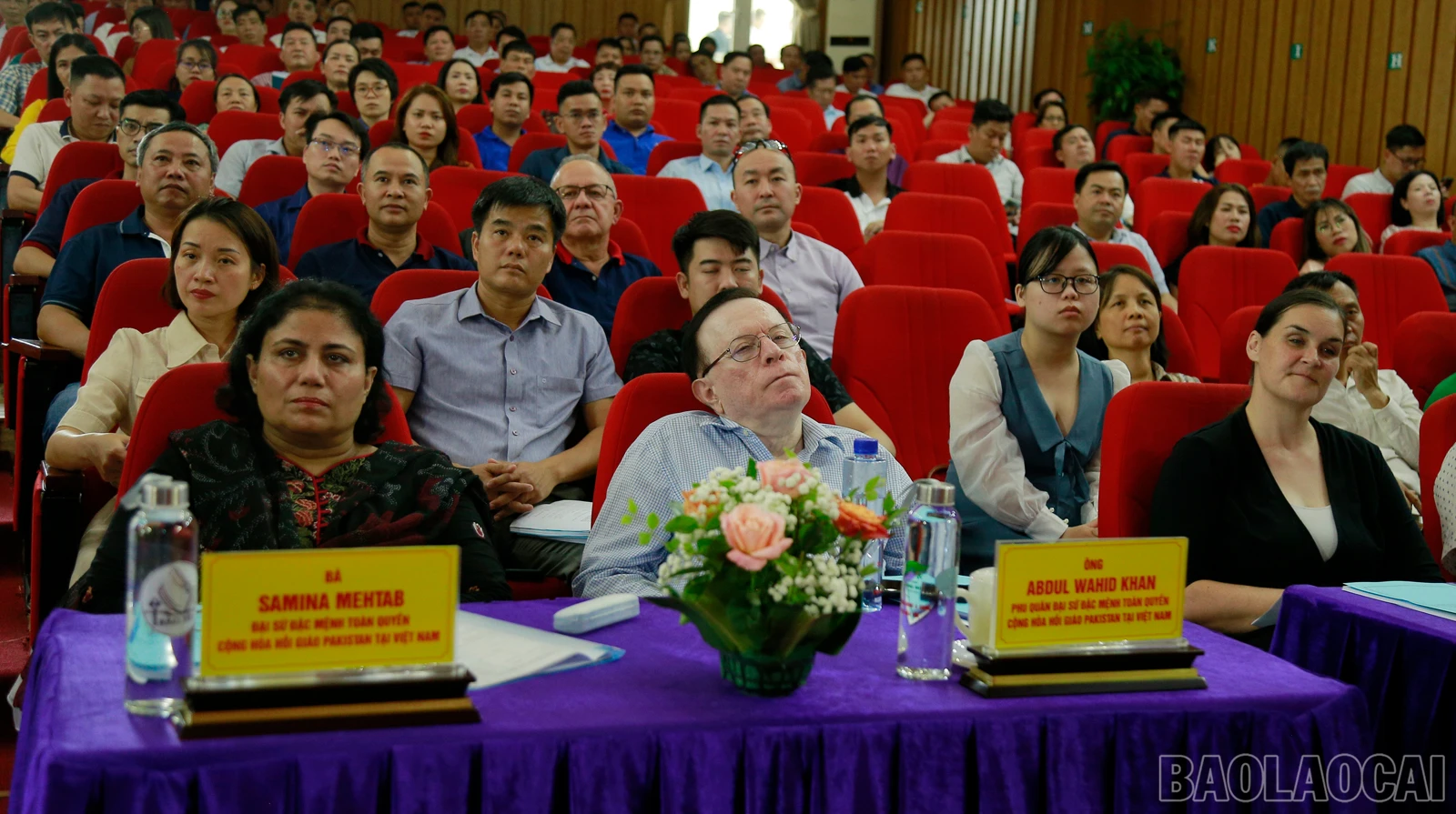 baolaocai_que (3).JPG