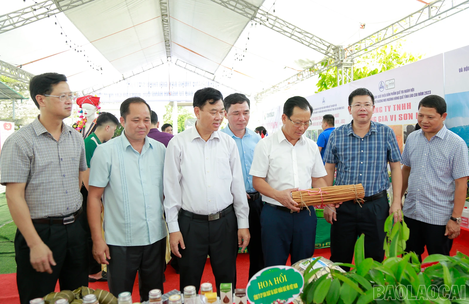 baolaocai_que (7).JPG