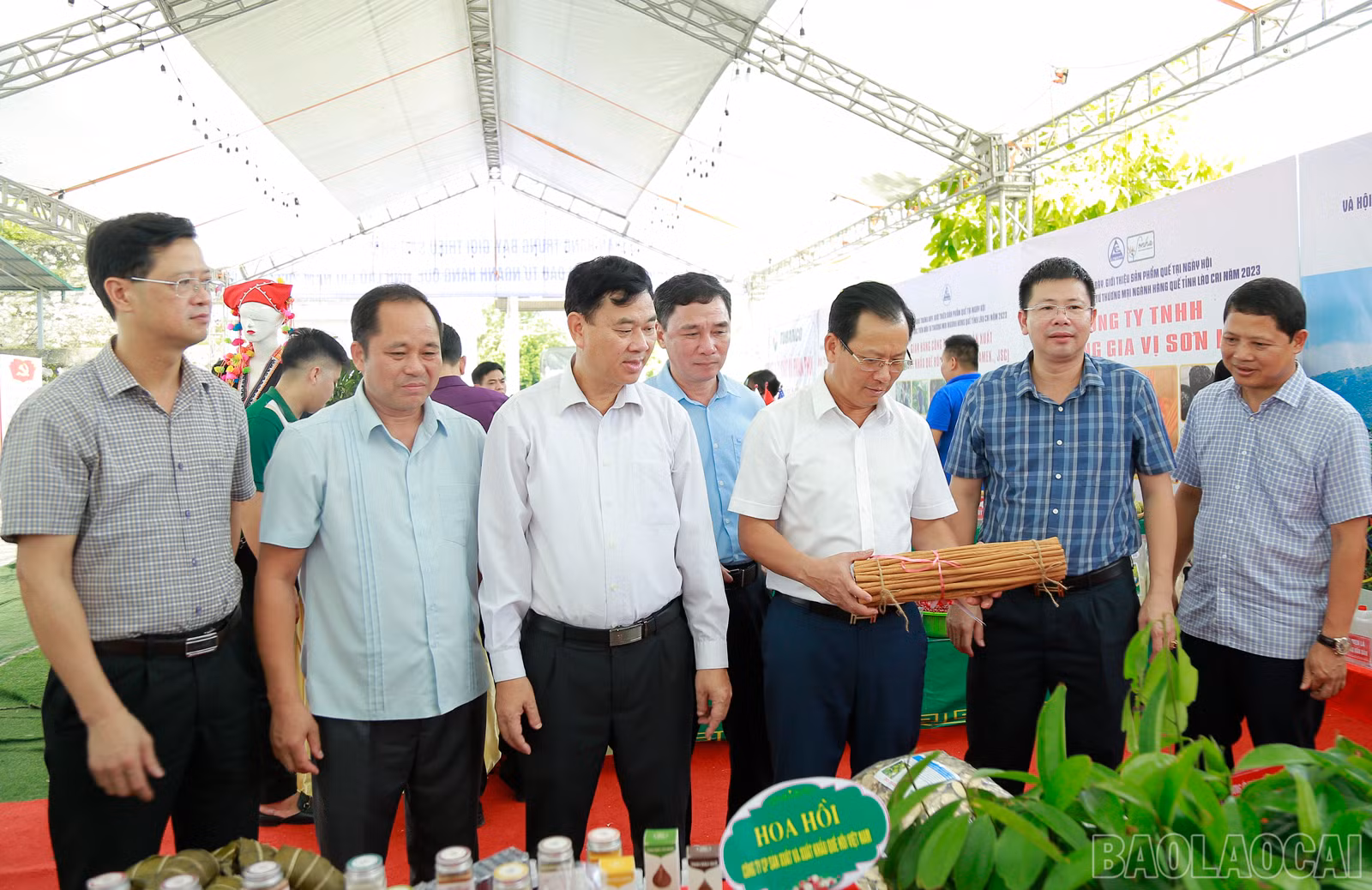 baolaocai_que (7).JPG