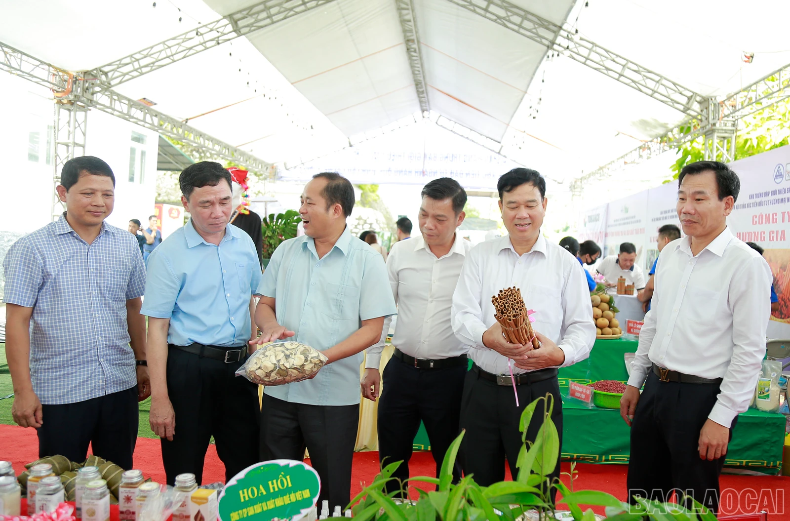 baolaocai_que (6).JPG