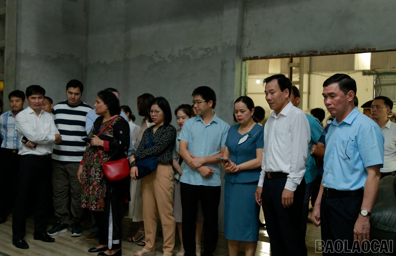 baolaocai_tq (3).JPG