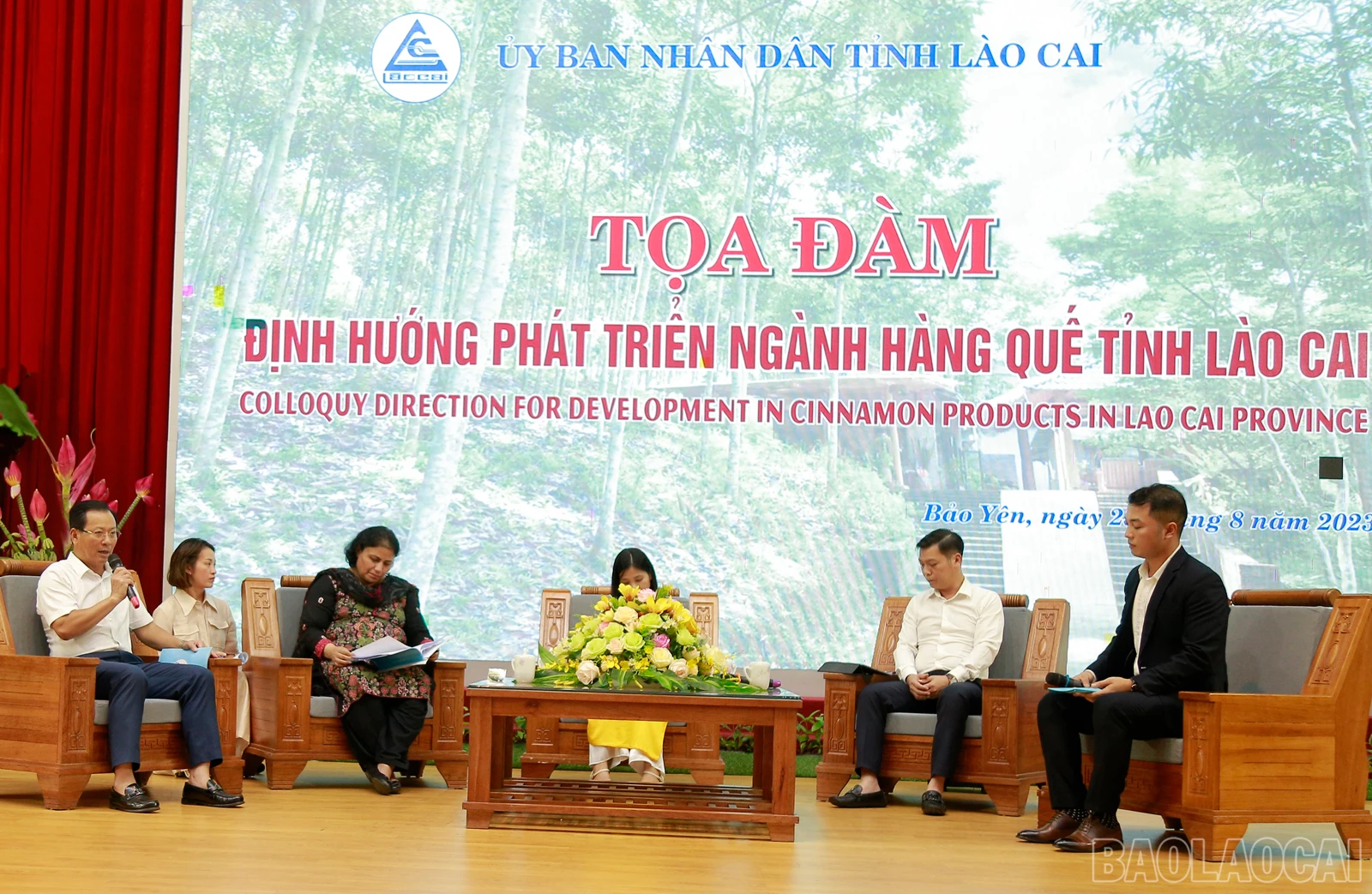 baolaocai_que (8).JPG