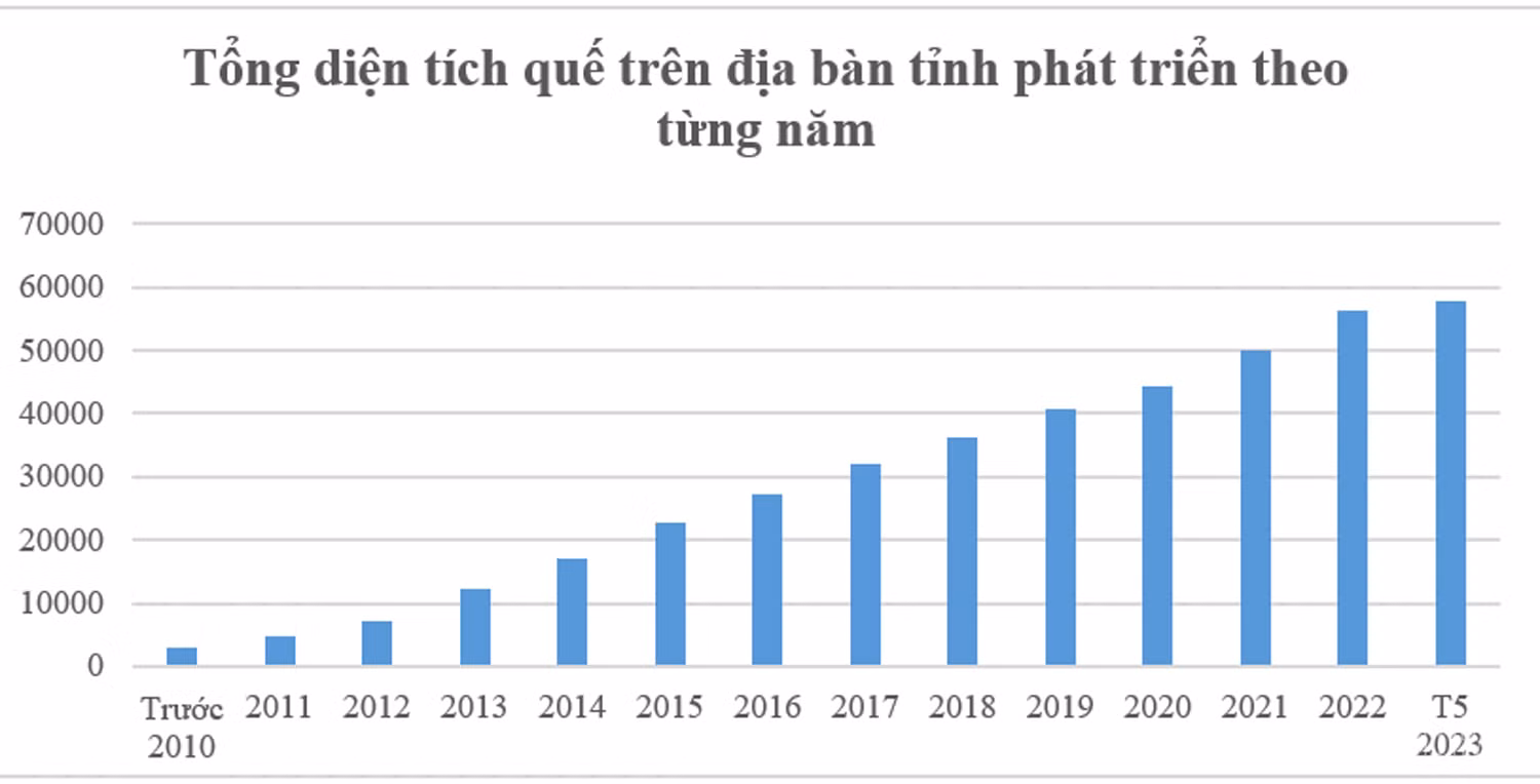 baolaocai_tt (1).jpg