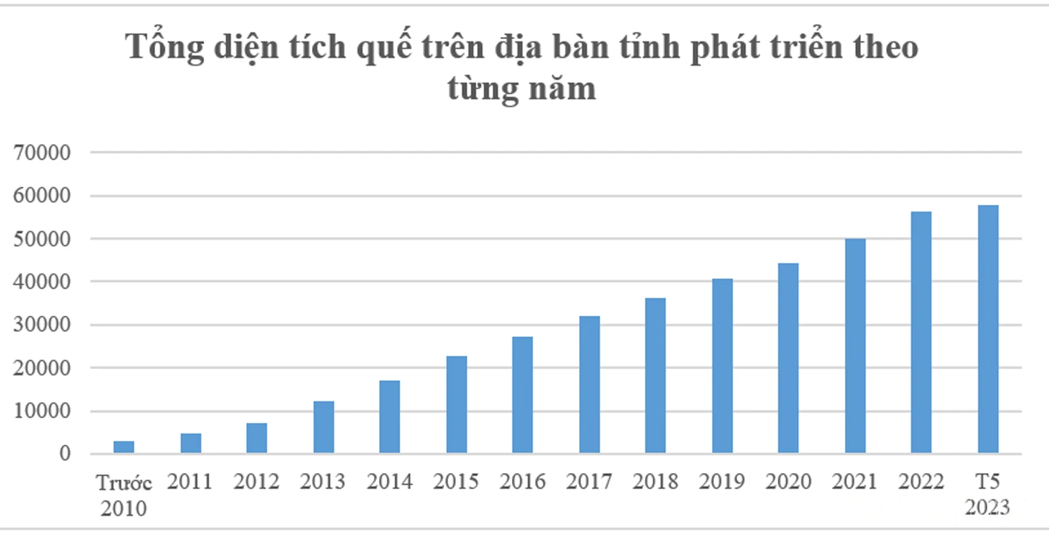 baolaocai_tt (1).jpg