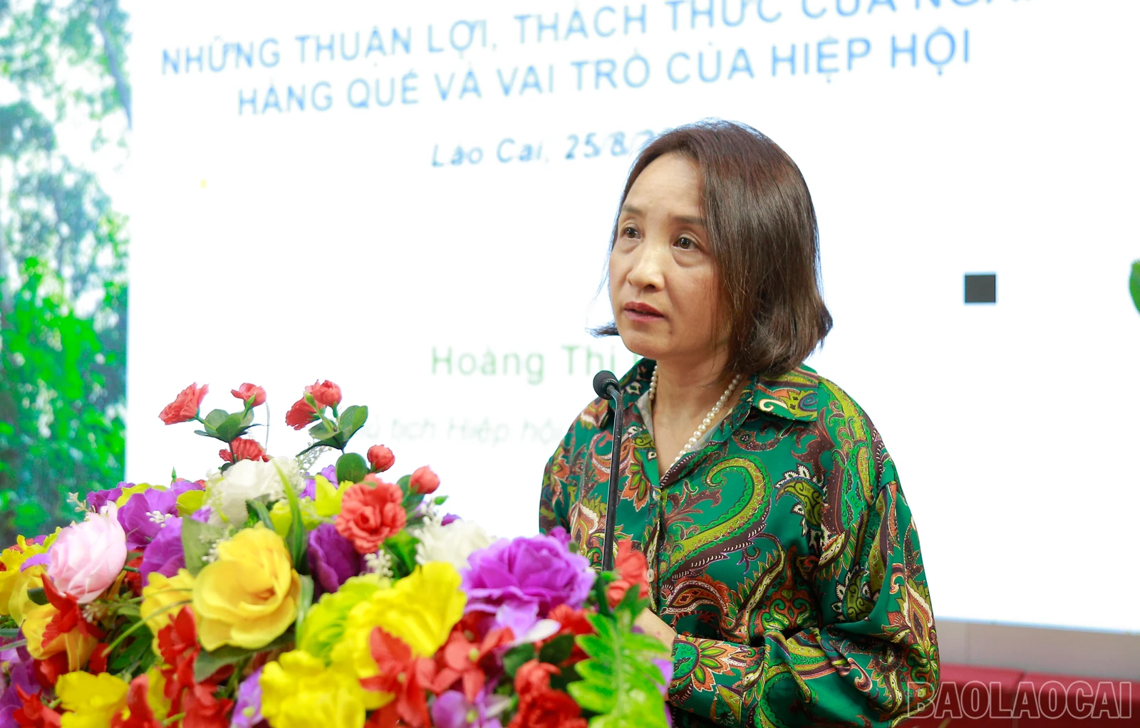 baolaocai_que (5).JPG