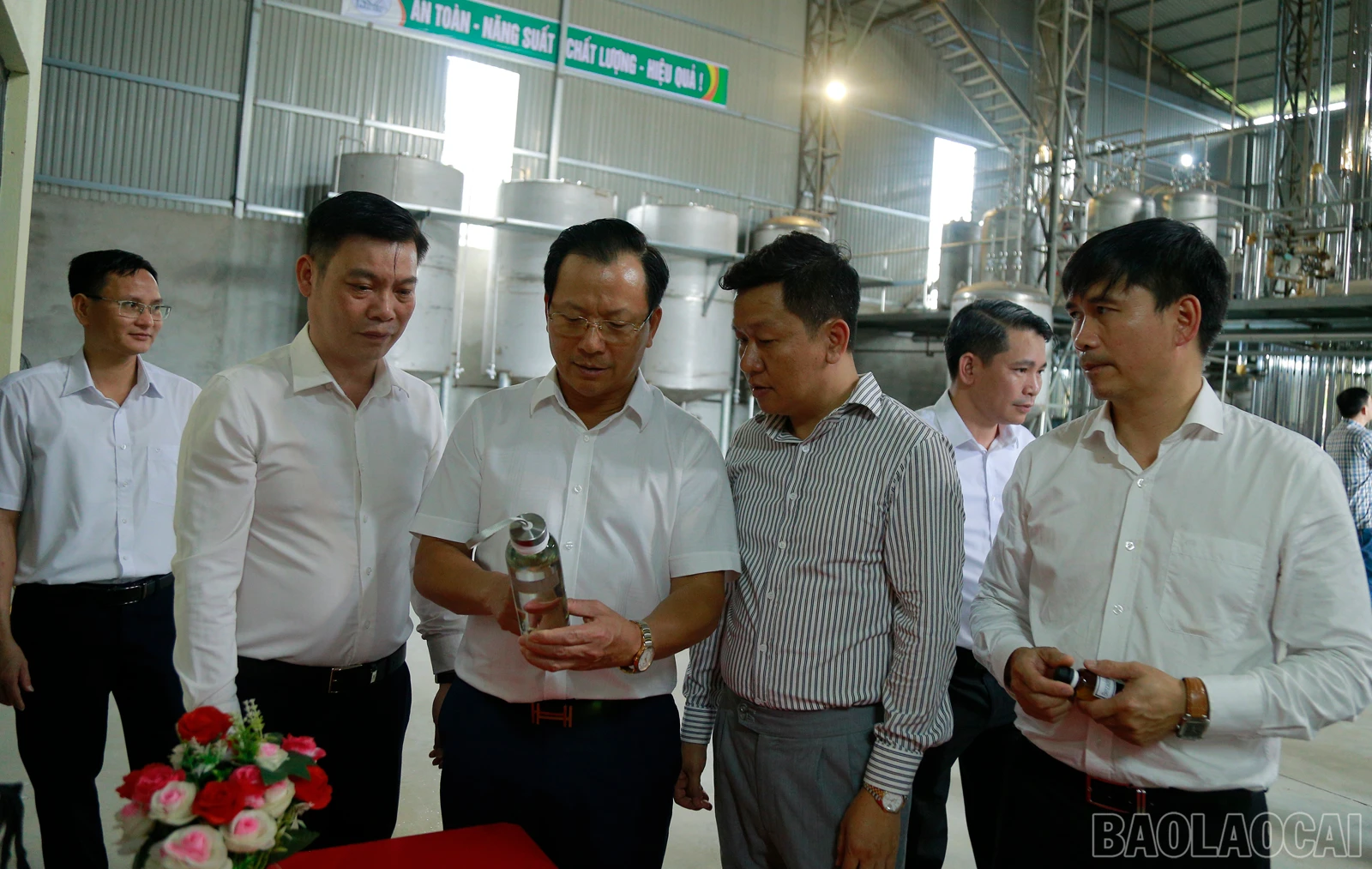 baolaocai_tq (1).JPG