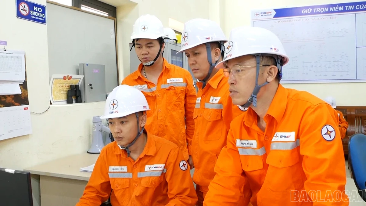 baolaocai_dientap (7).jpg